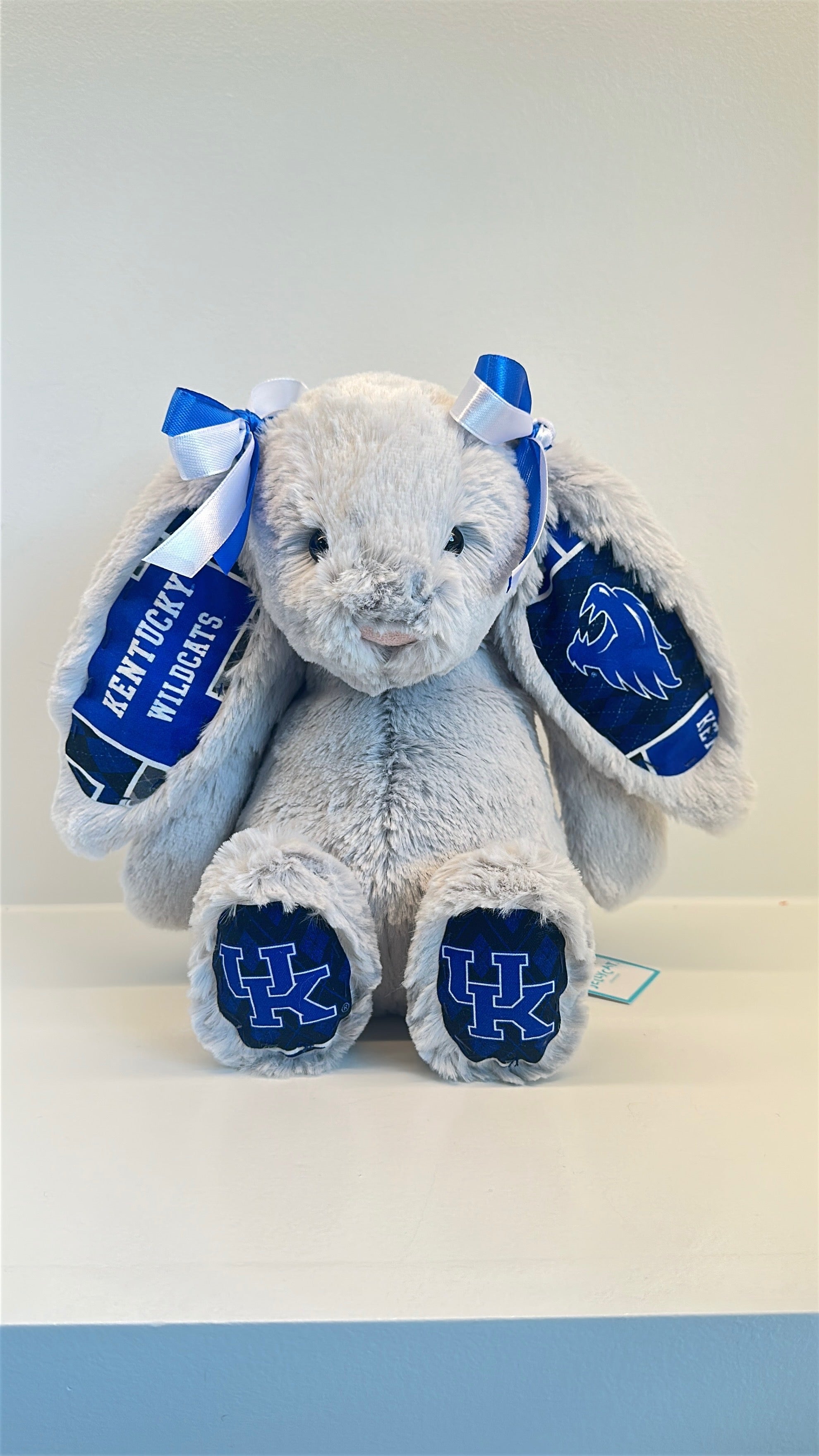 University of Kentucky College Jellycat Bunny