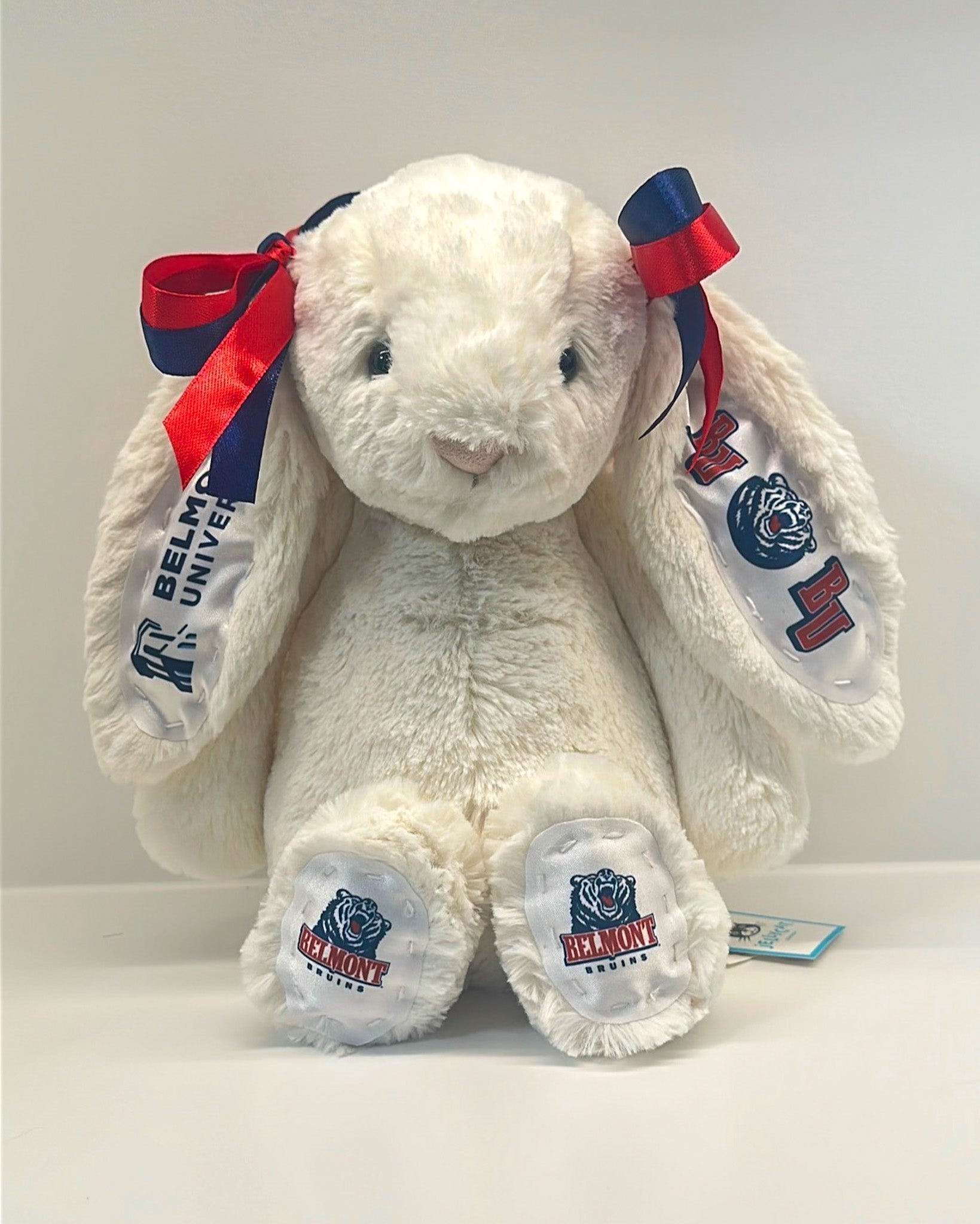 Fully Custom Jellycat Plush