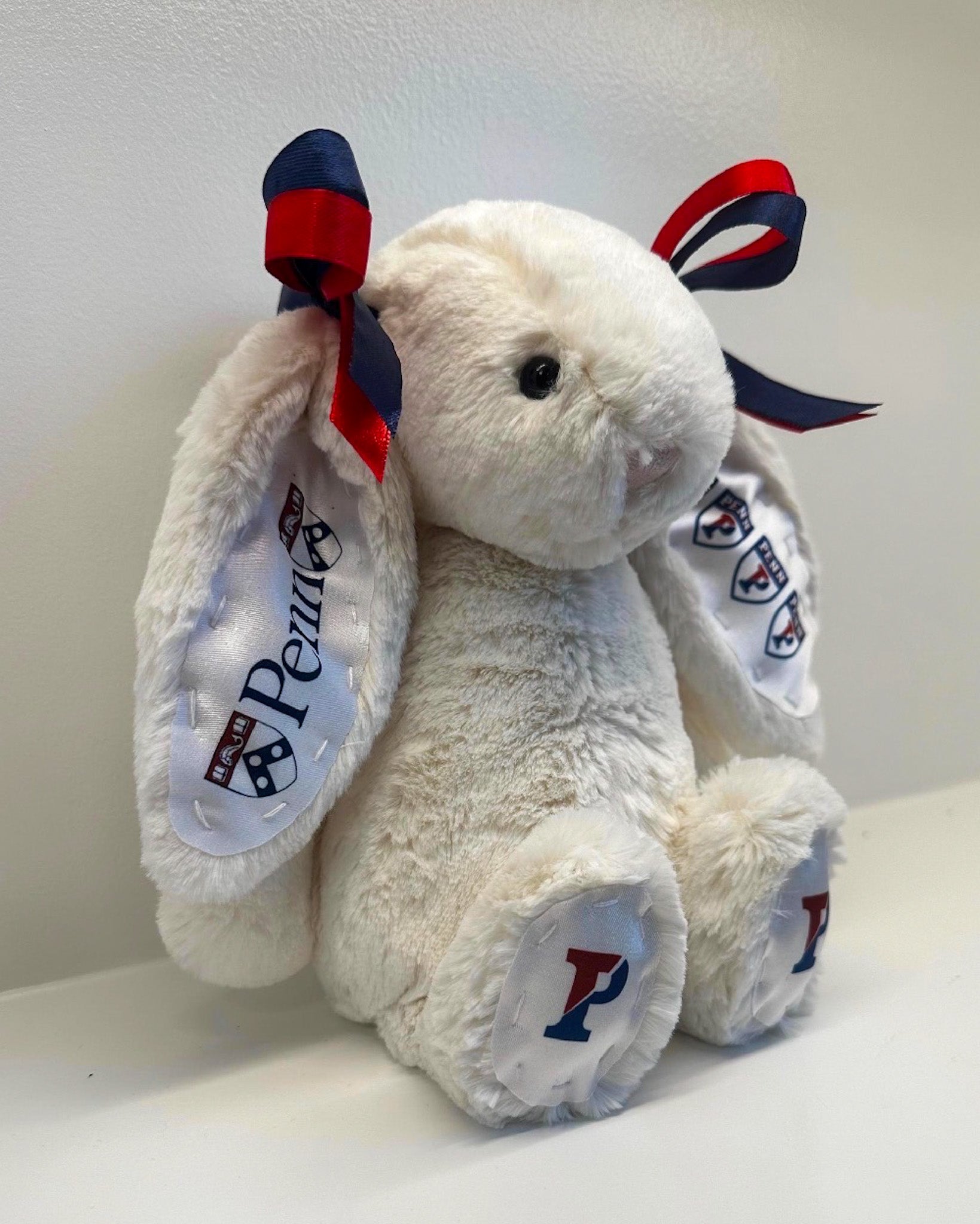 Fully Custom Jellycat Plush