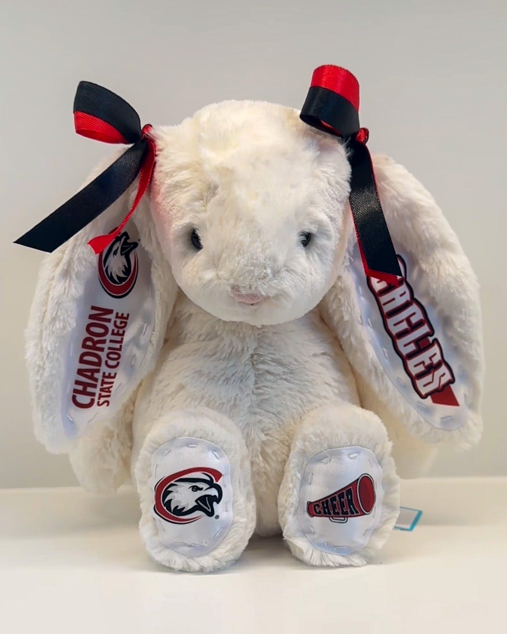 Plush elephant toy with Chadron State College logos on a white background