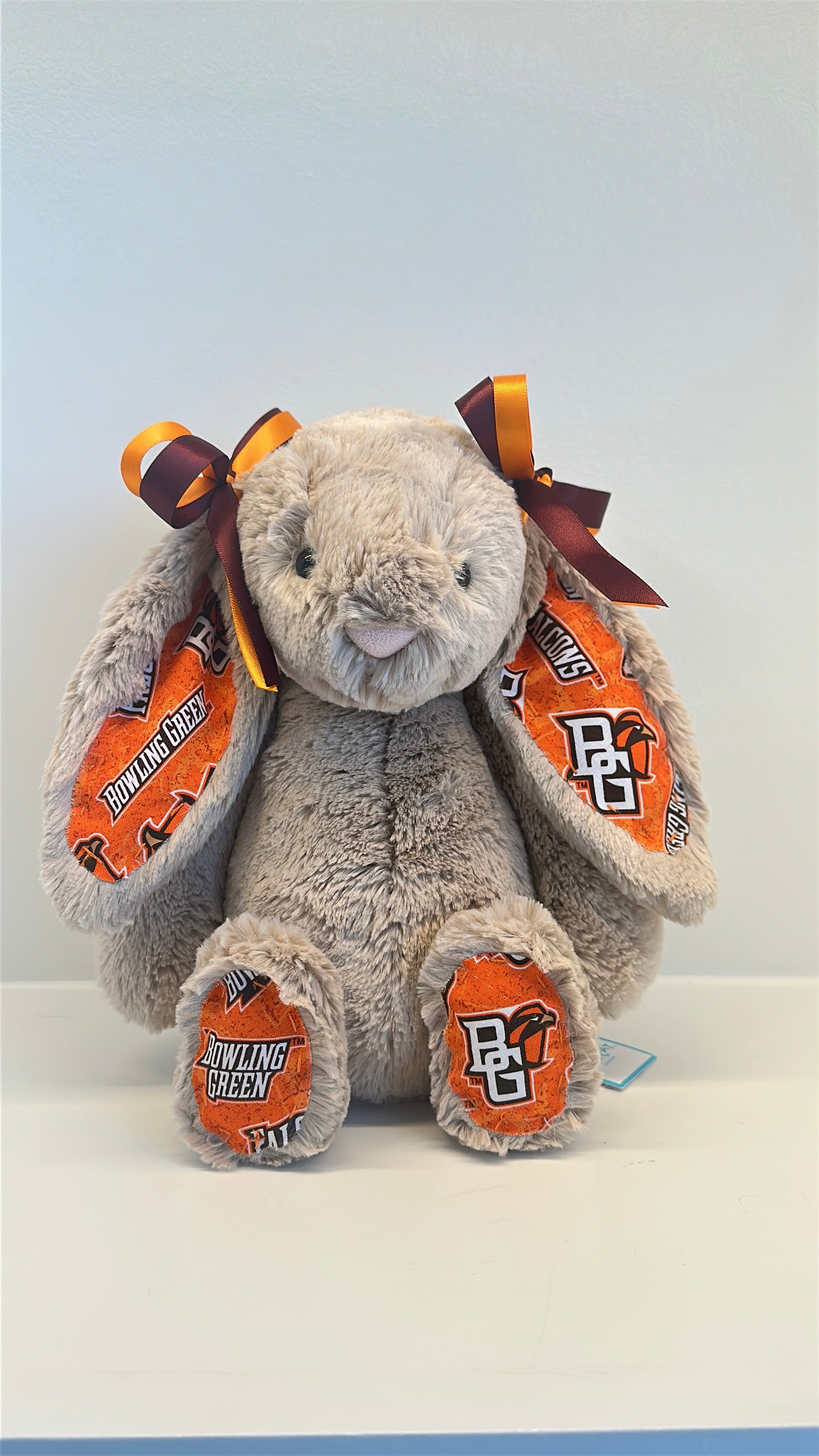 Custom College Jellycat Bashful Bunny