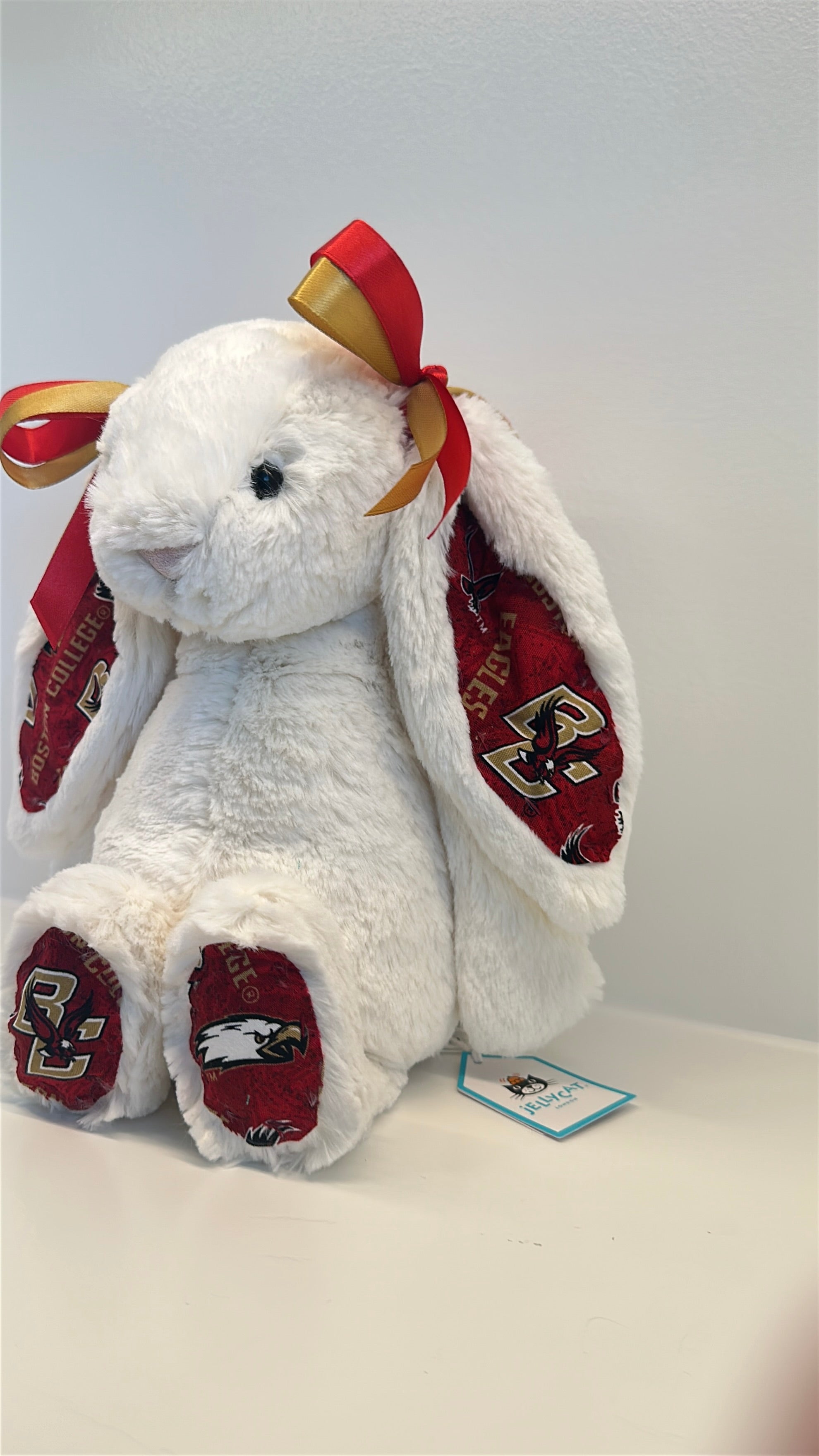 Custom College Jellycat Bashful Bunny