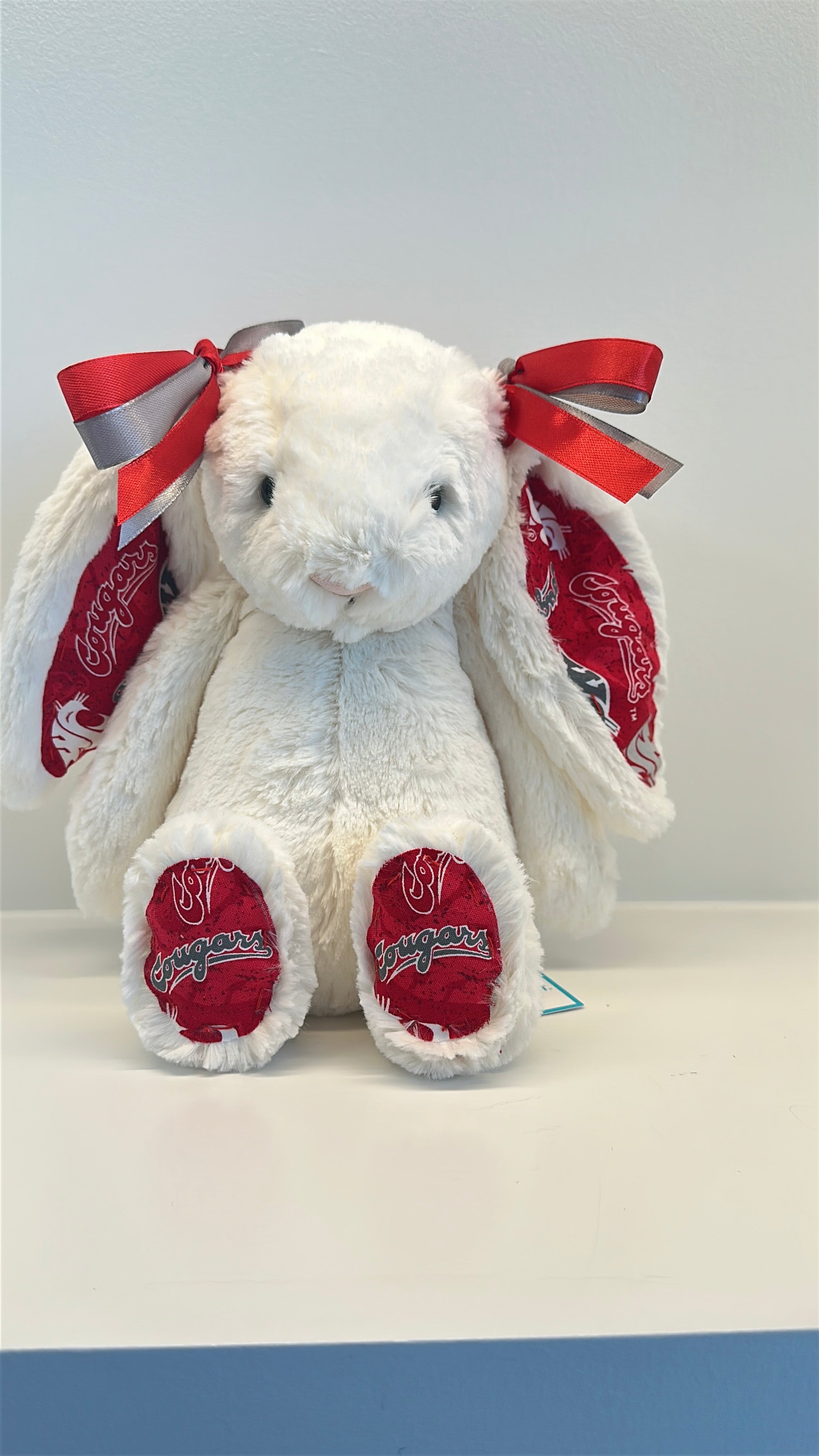 Custom College Jellycat Bashful Bunny
