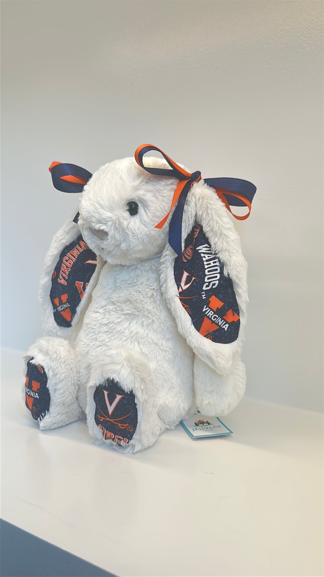 University of Virginia Arlington (UVA) Custom College Jellycat Bashful Bunny