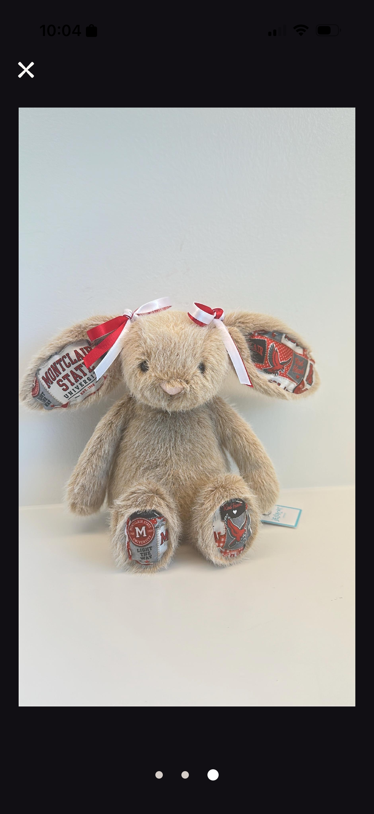 Montclair State University Fully Custom Jellycat Bunny