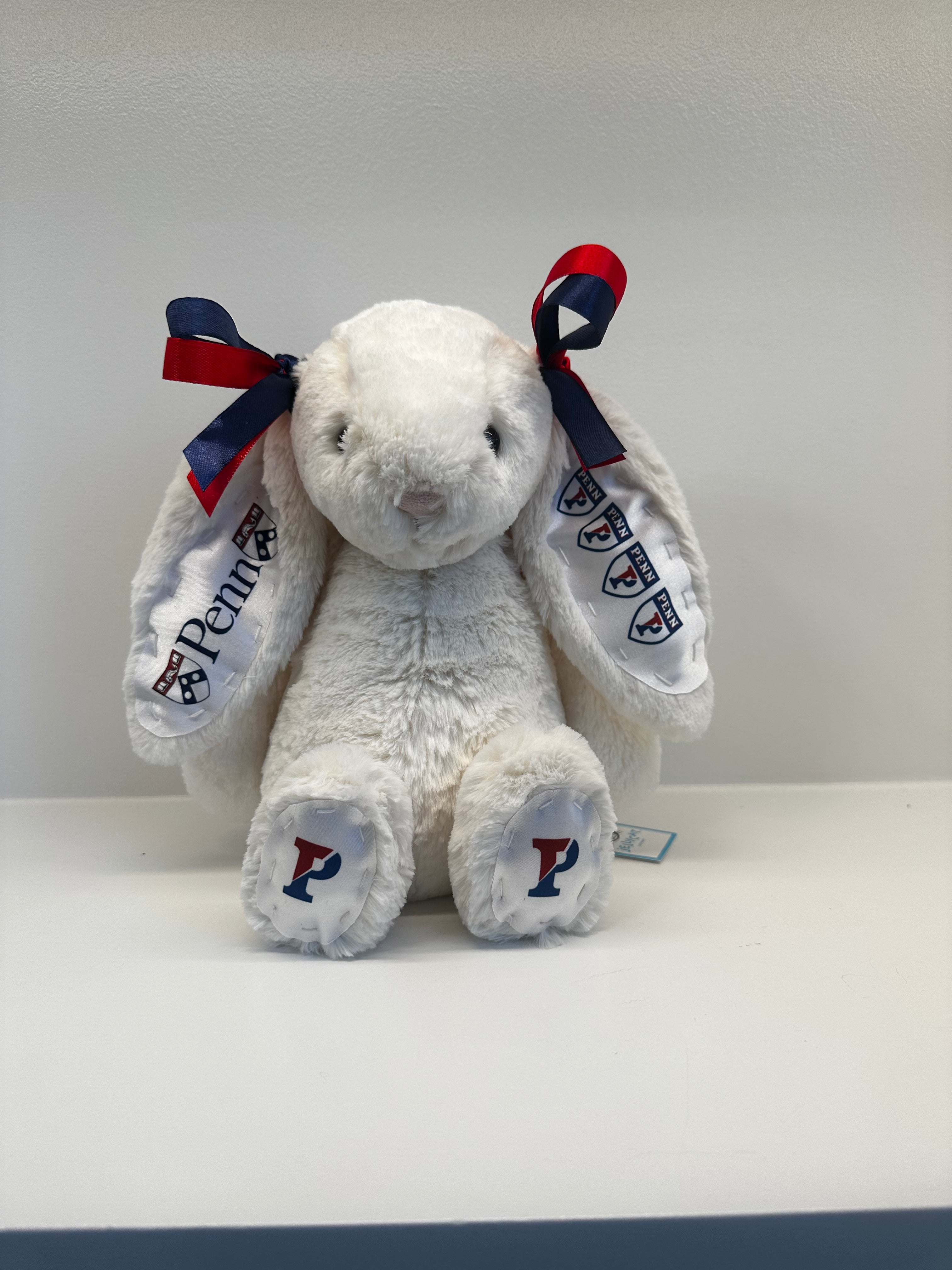 U Penn Custom College Jellycat Bashful Bunny