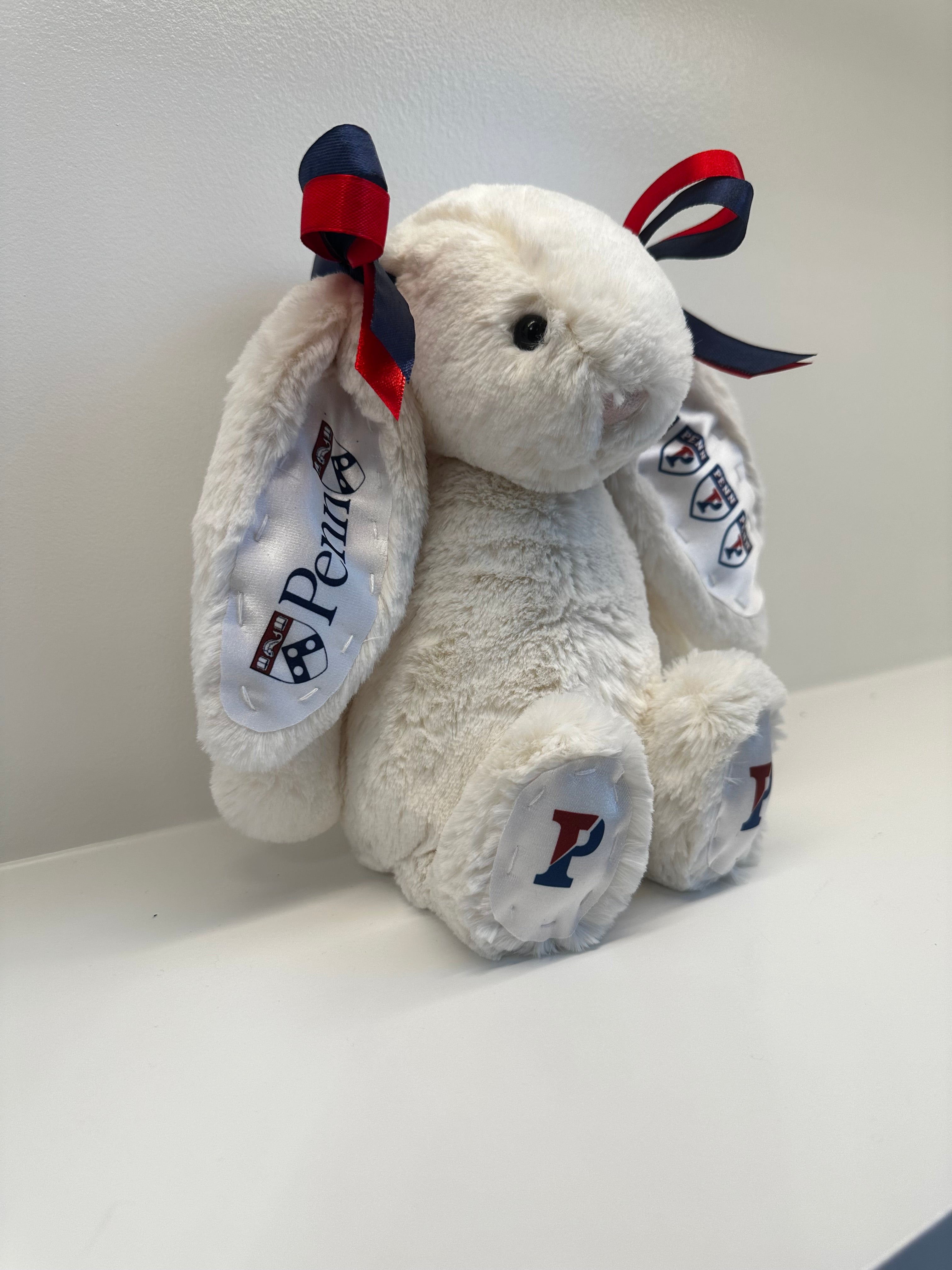 U Penn Custom College Jellycat Bashful Bunny