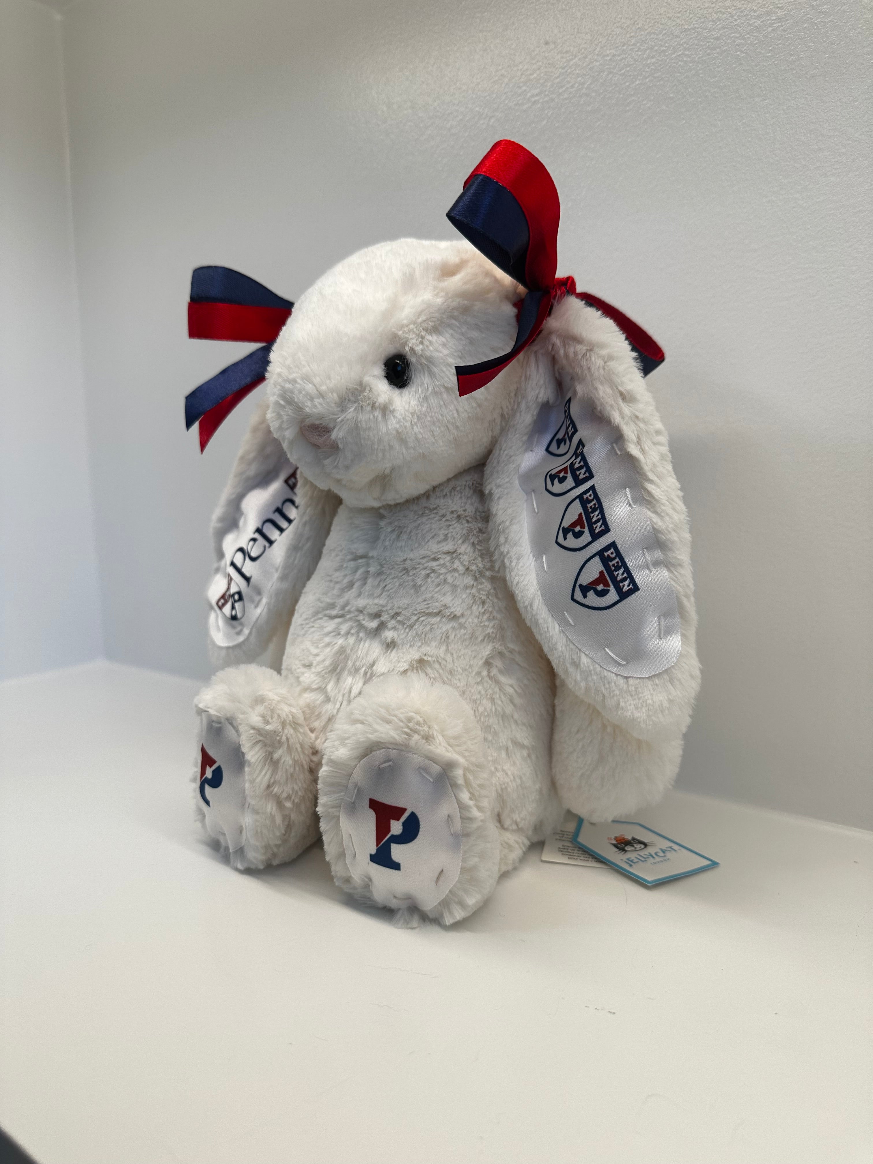 U Penn Custom College Jellycat Bashful Bunny