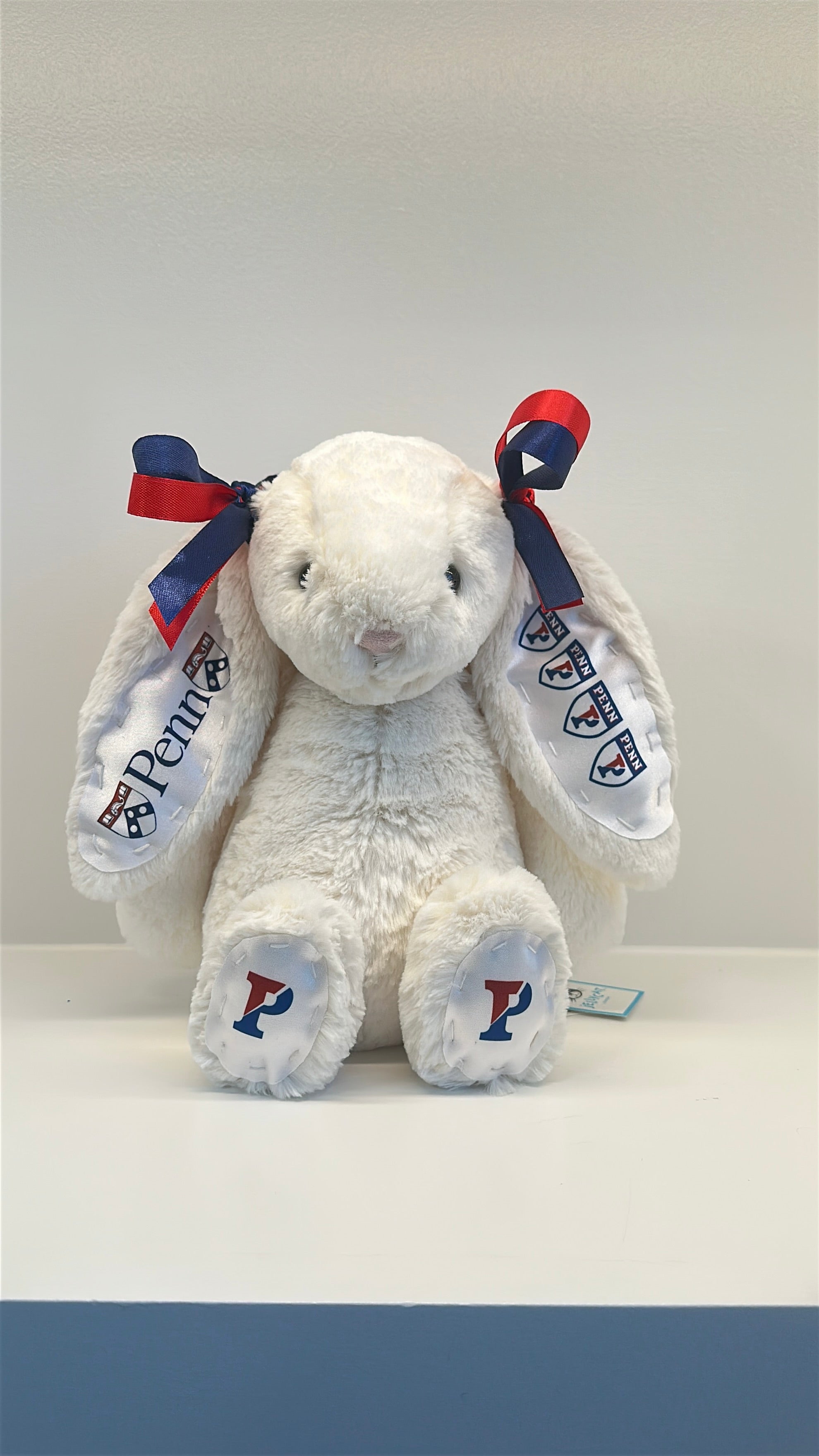 Custom College Jellycat Bashful Bunny