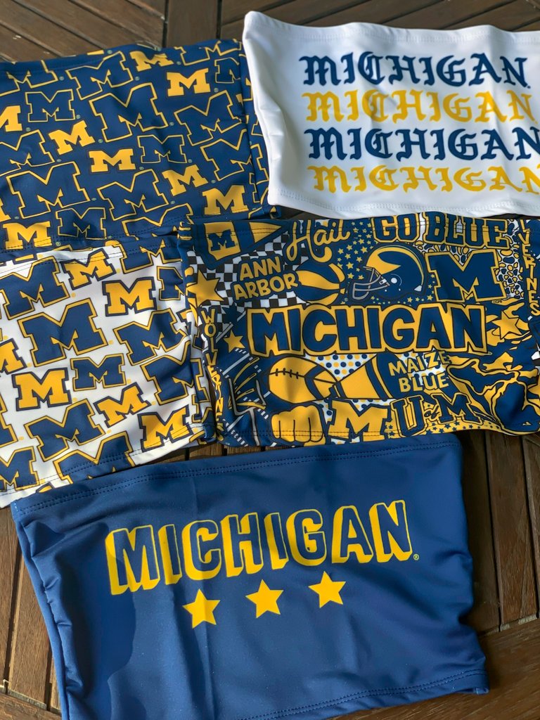 University of Michigan Bold Stars Tube Top