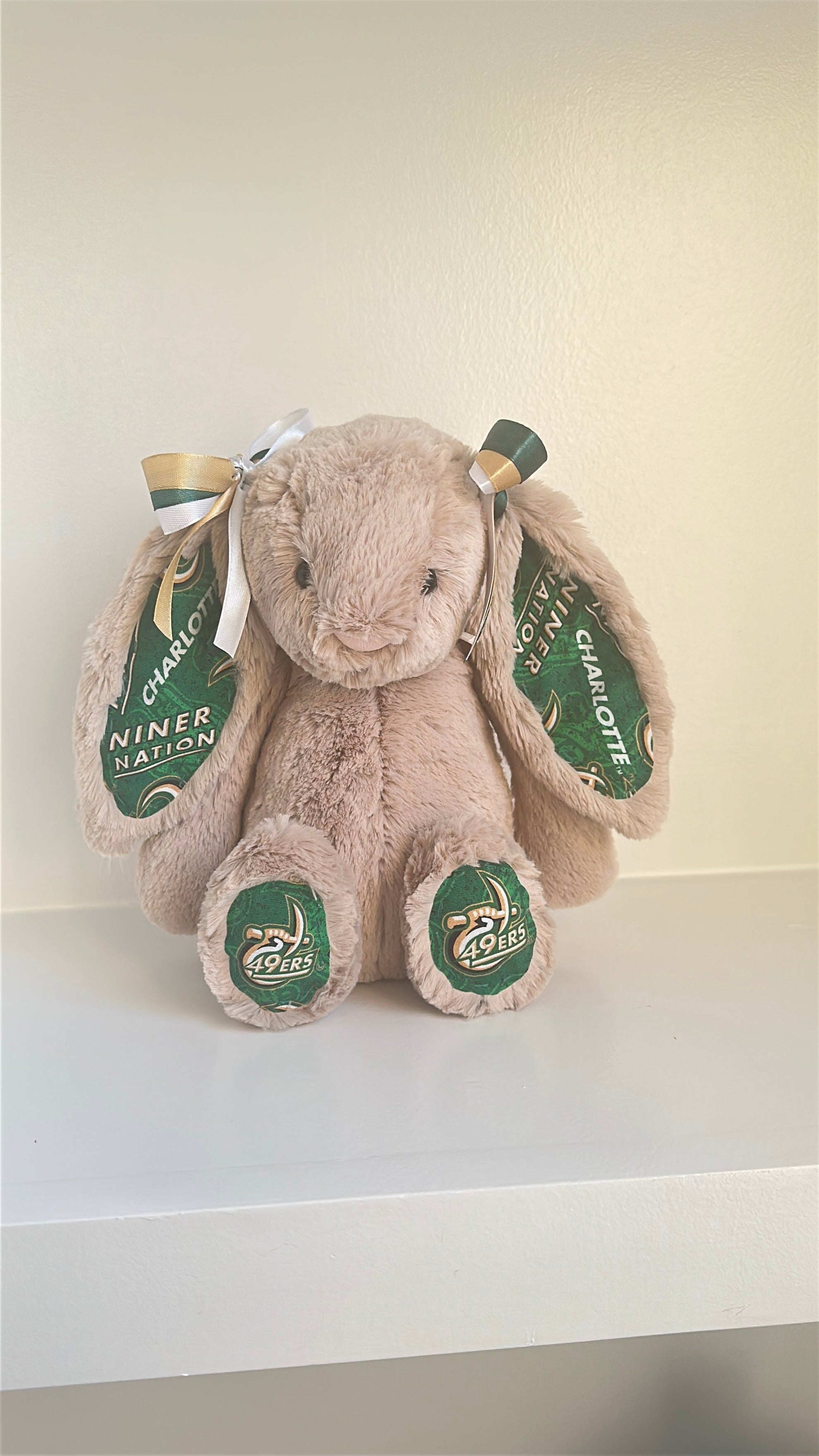 University of North Carolina at Charlotte (UNC Charlotte) College Jellycat Bunny