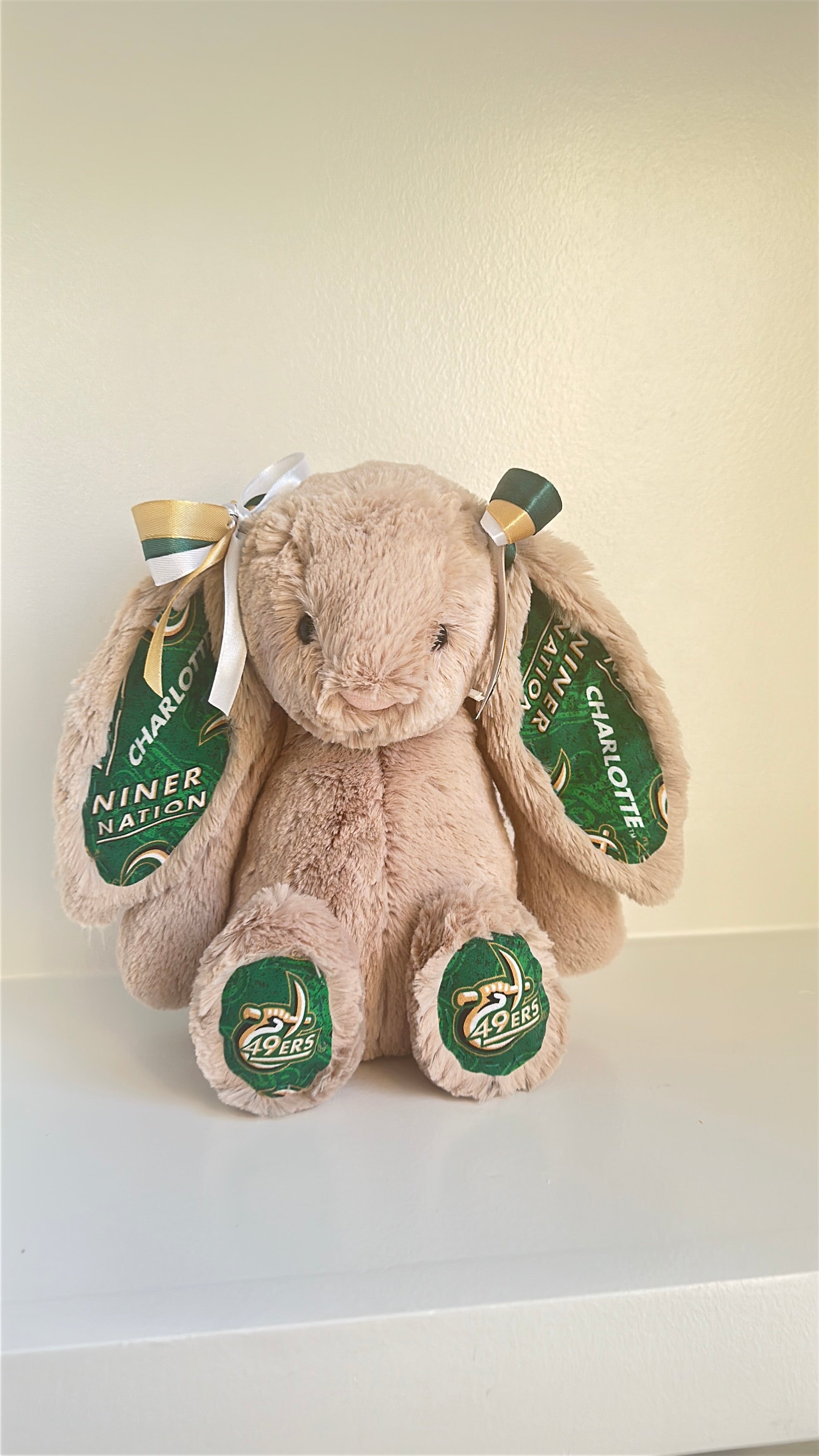 University of North Carolina at Charlotte (UNC Charlotte) College Jellycat Bunny