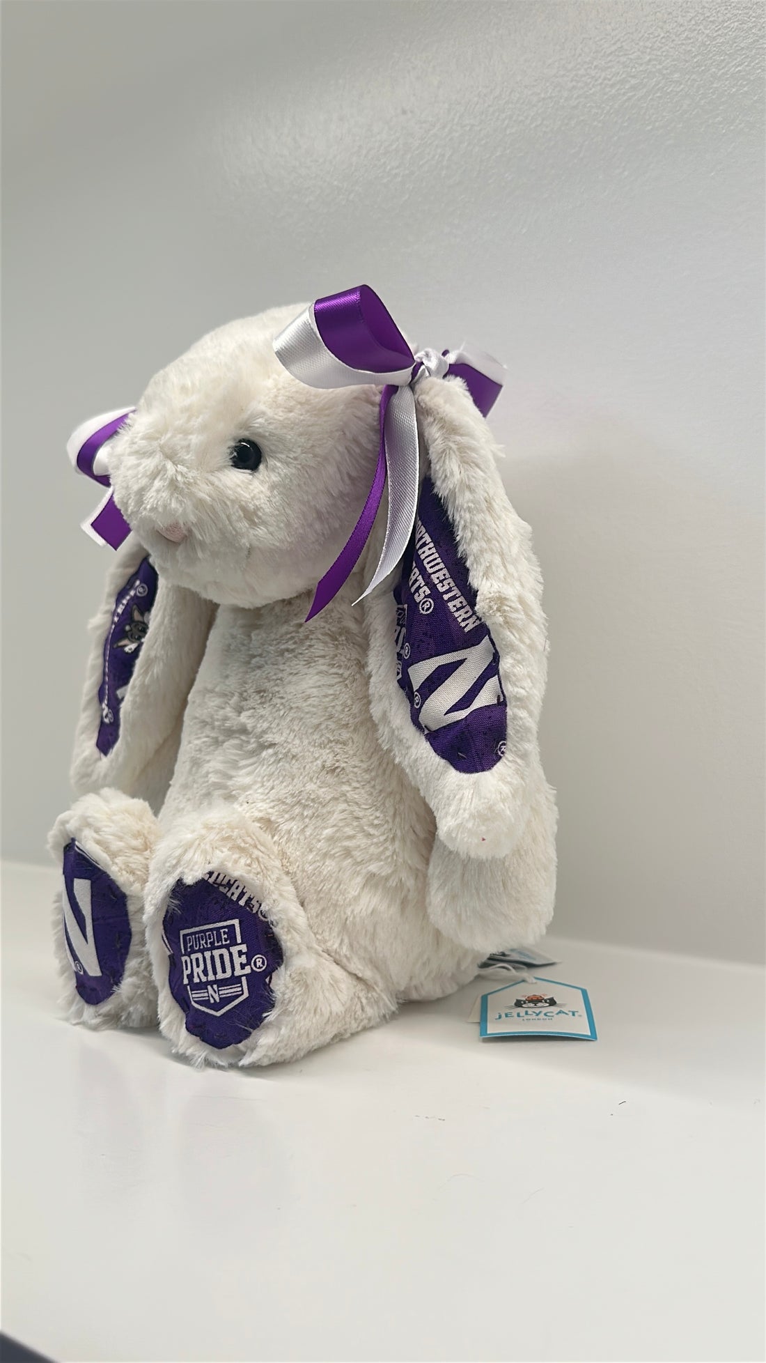 Northwestern Custom College Jellycat Bashful Bunny