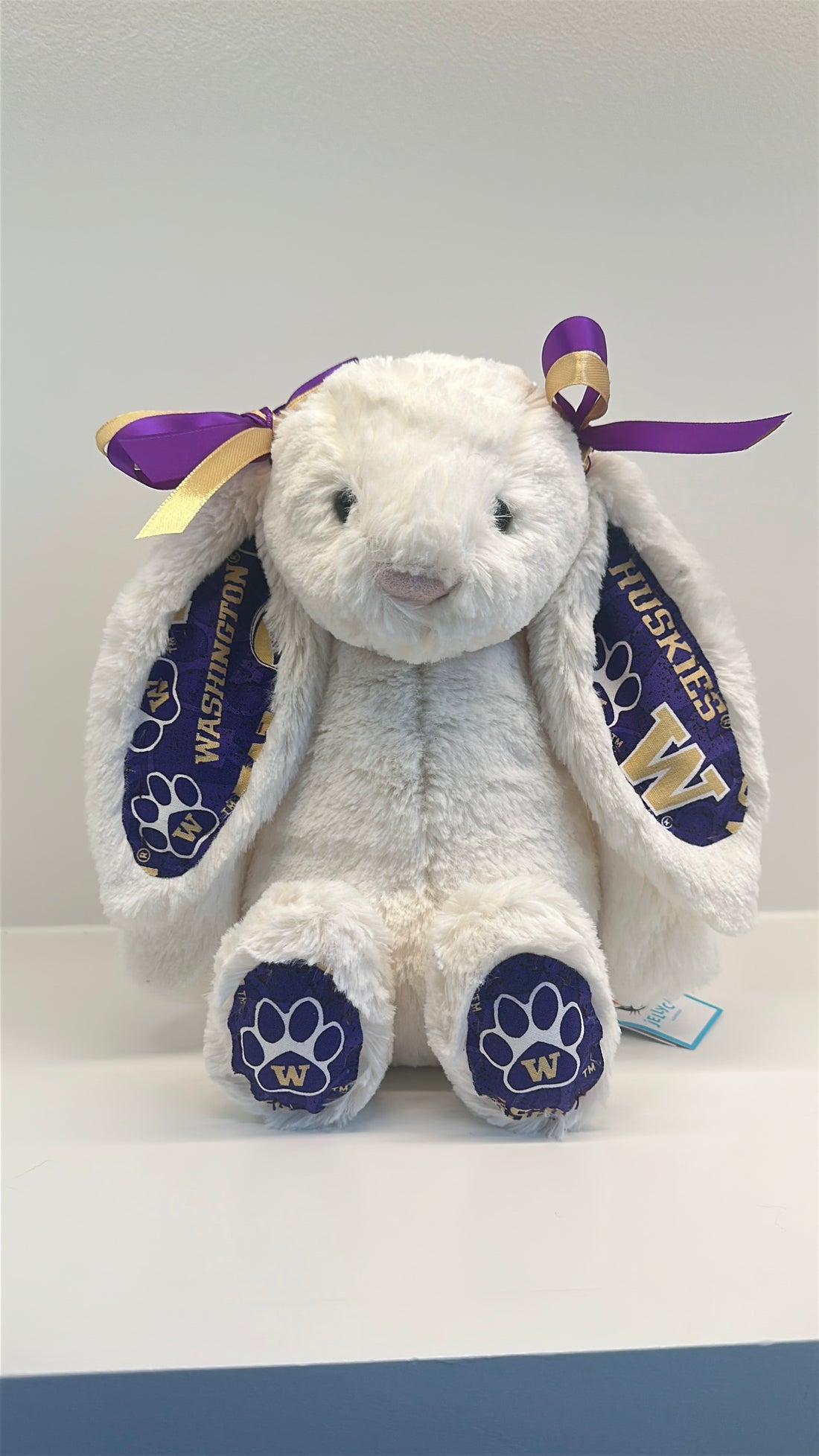 University of Washington Custom College Jellycat Bashful Bunny
