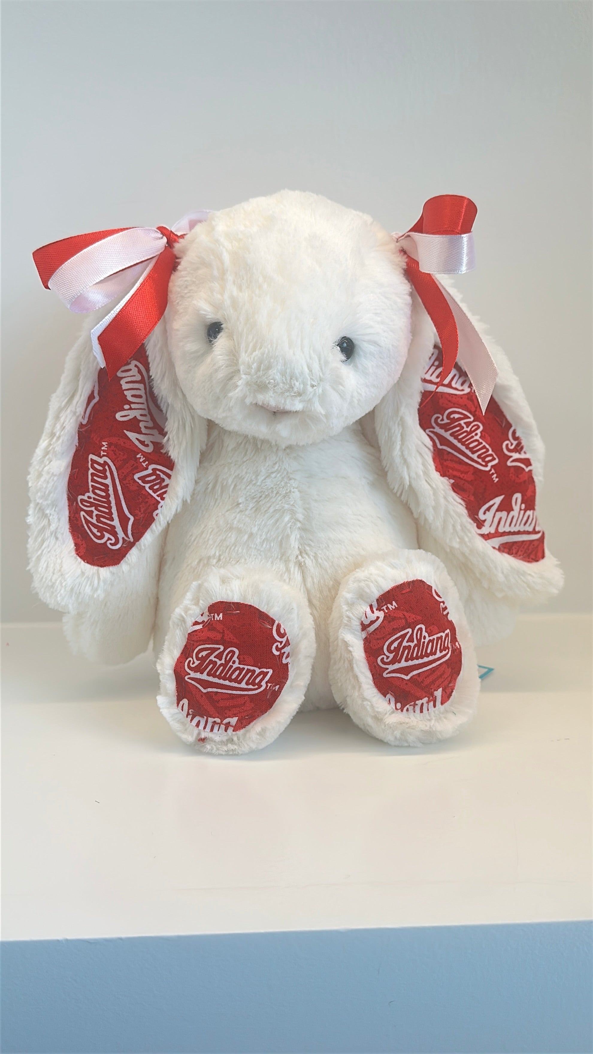 Custom College Jellycat Bashful Bunny