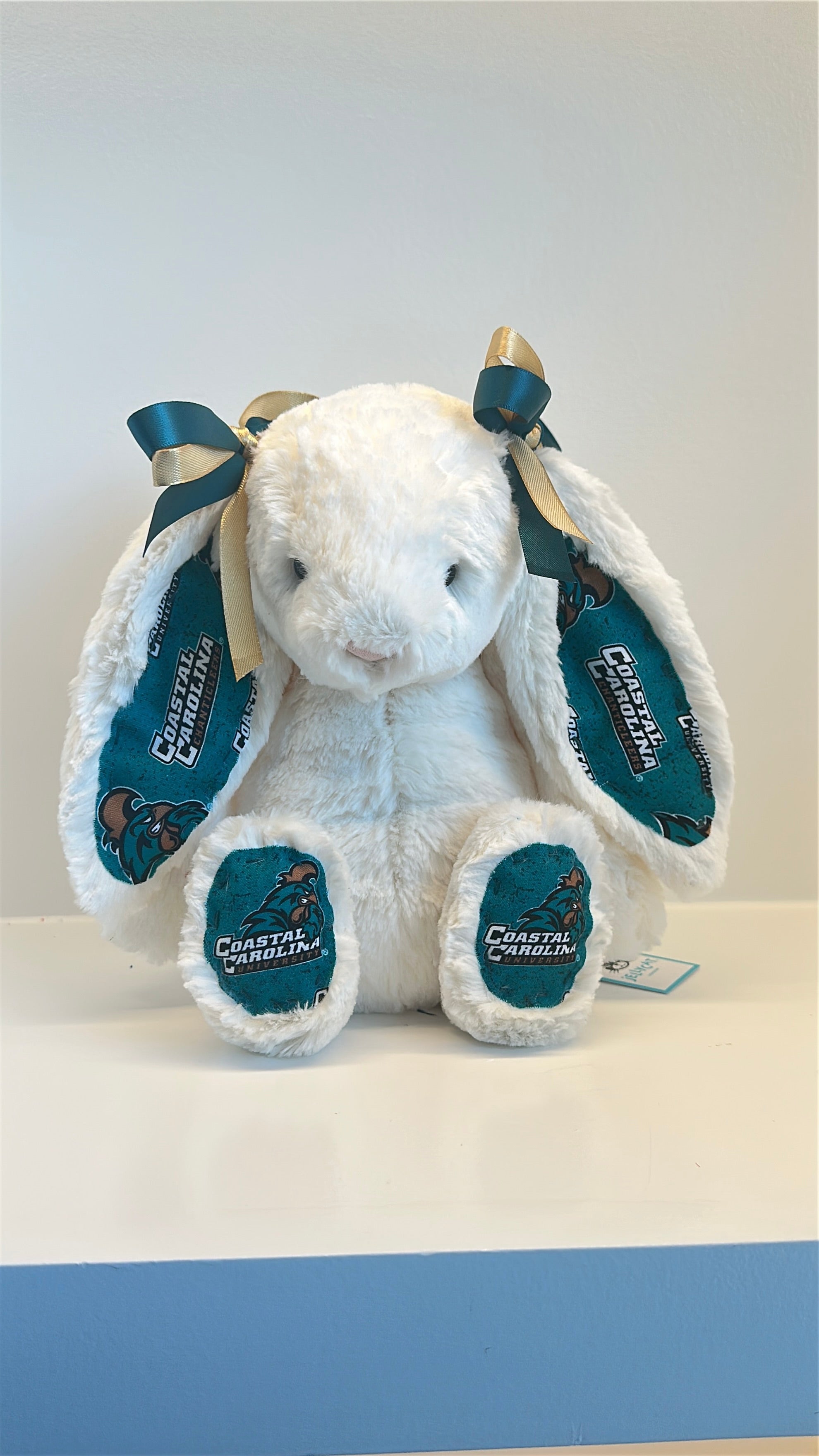 Custom College Jellycat Bashful Bunny