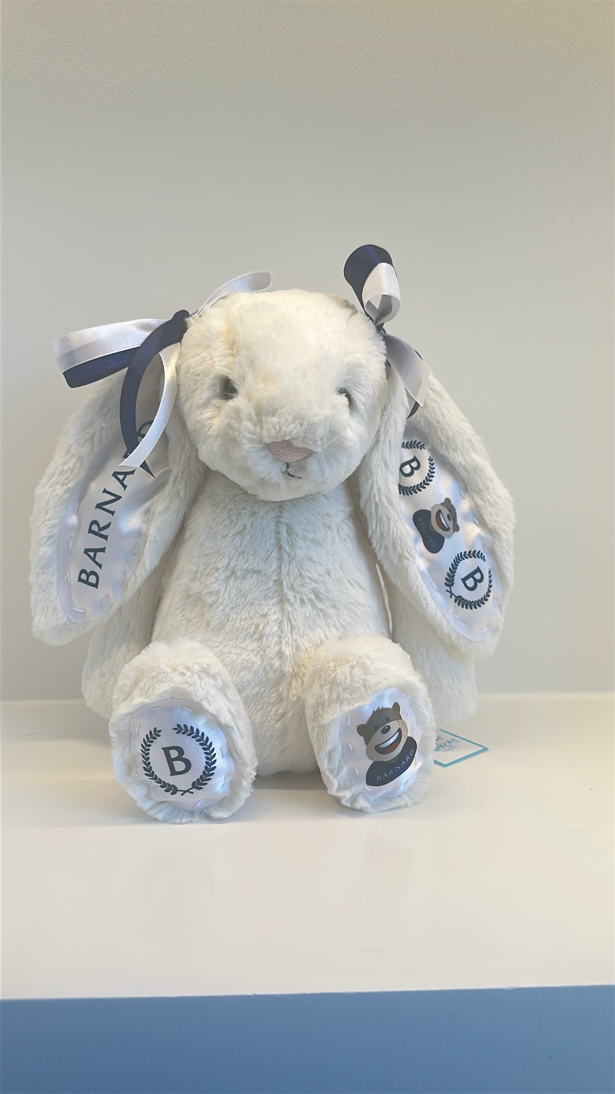 Barnard Custom College Jellycat Bashful Bunny
