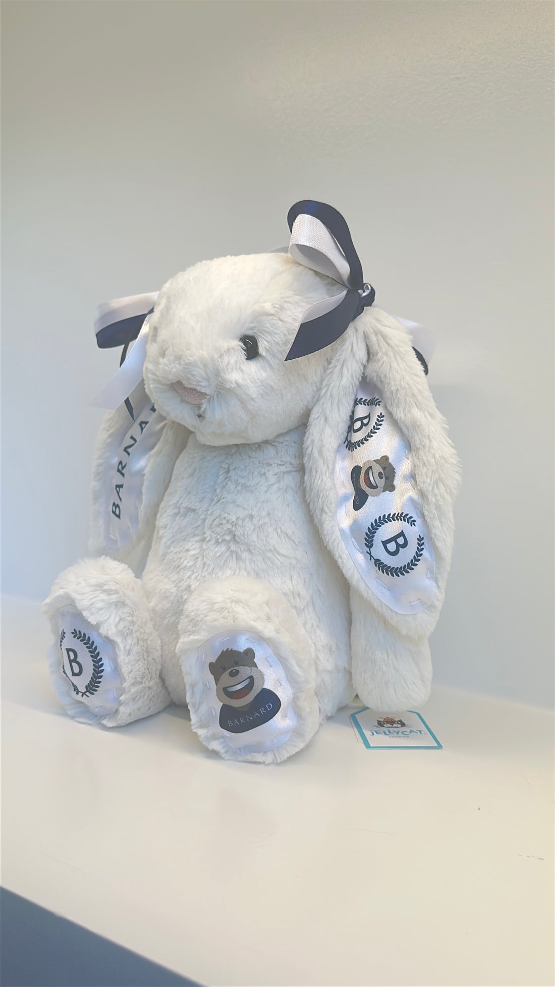 Barnard Custom College Jellycat Bashful Bunny
