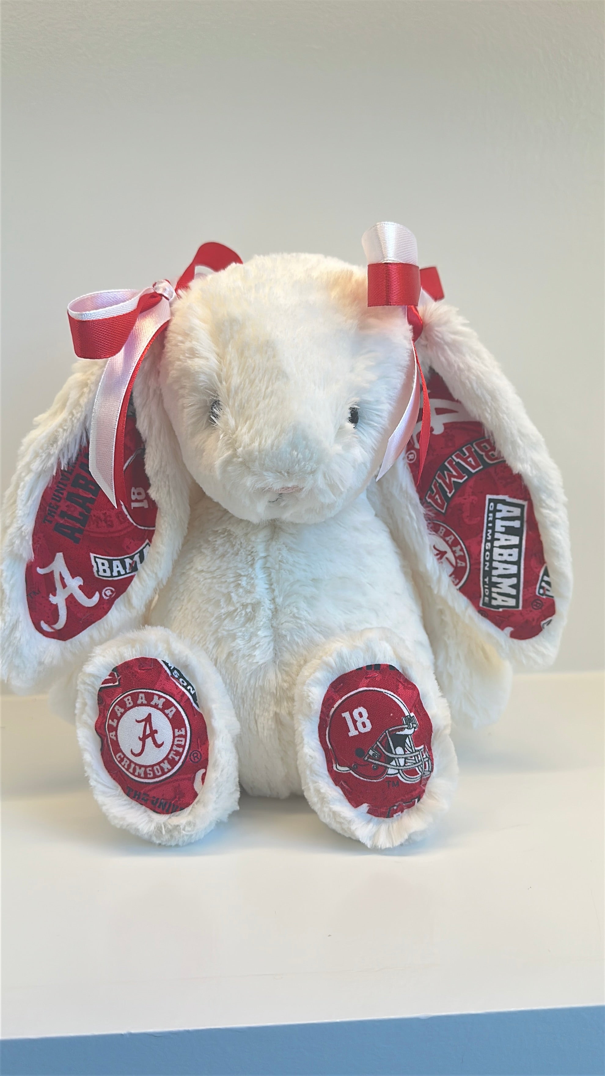 Custom College Jellycat Bashful Bunny