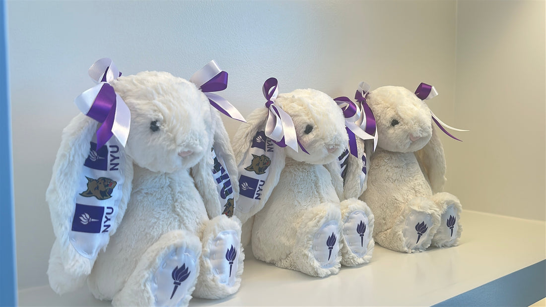 New York University (NYU) Custom College Jellycat Bashful Bunny