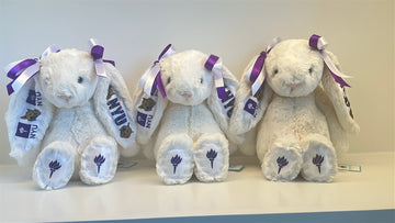 New York University (NYU) Custom College Jellycat Bashful Bunny