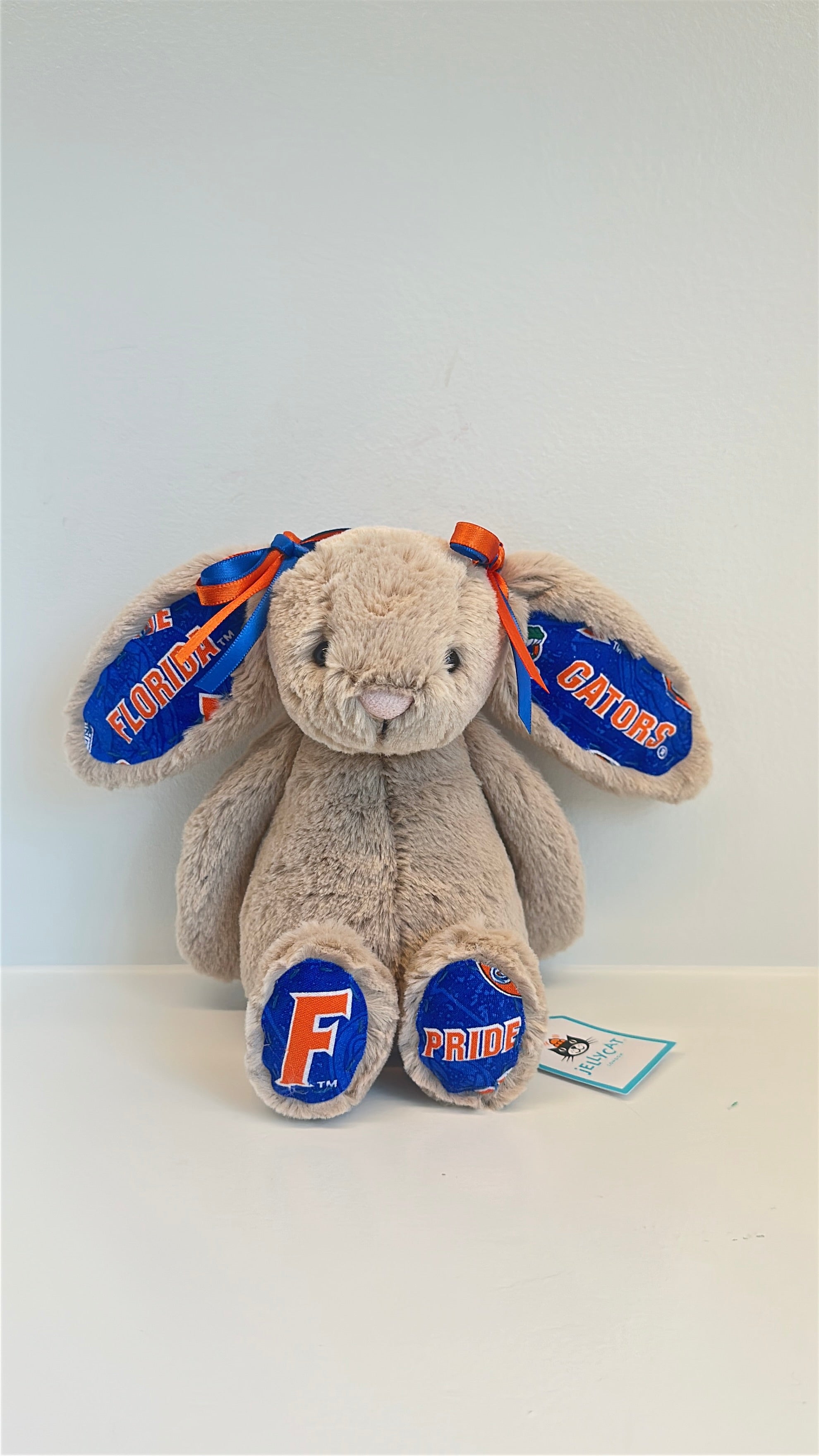University of Florida Custom College Jellycat Bashful Bunny