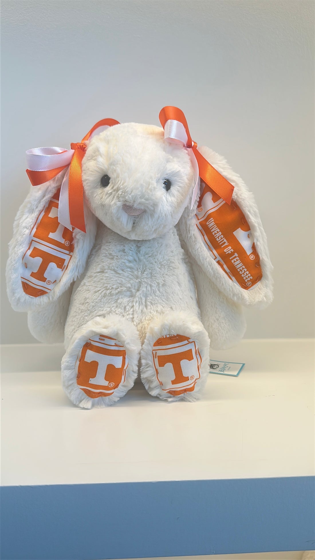 University of Tennessee Custom College Jellycat Bashful Bunny
