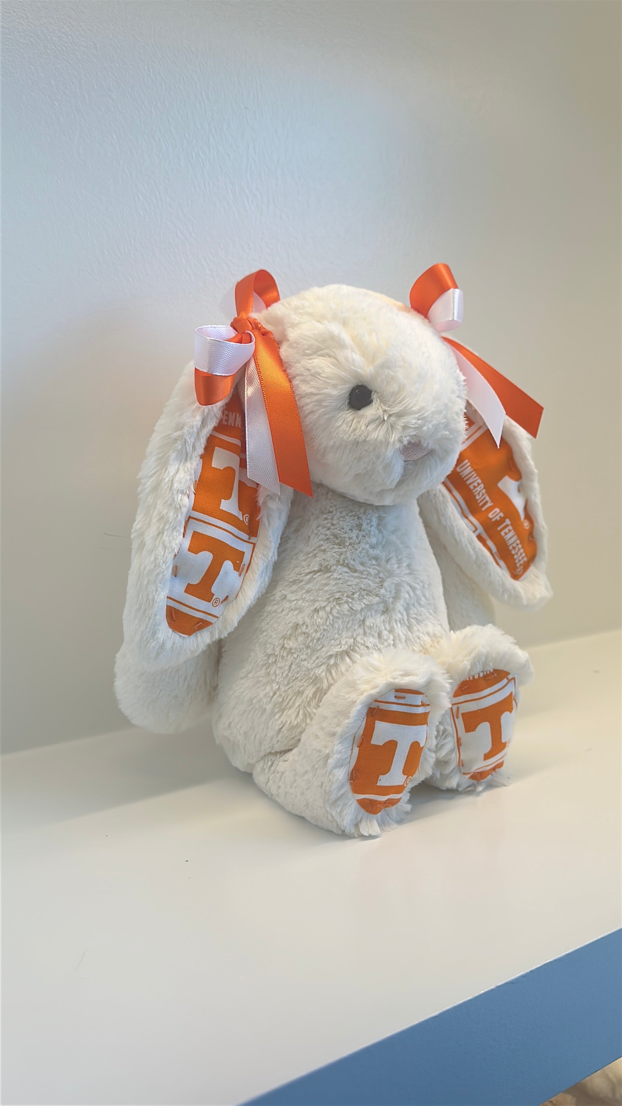 University of Tennessee Custom College Jellycat Bashful Bunny