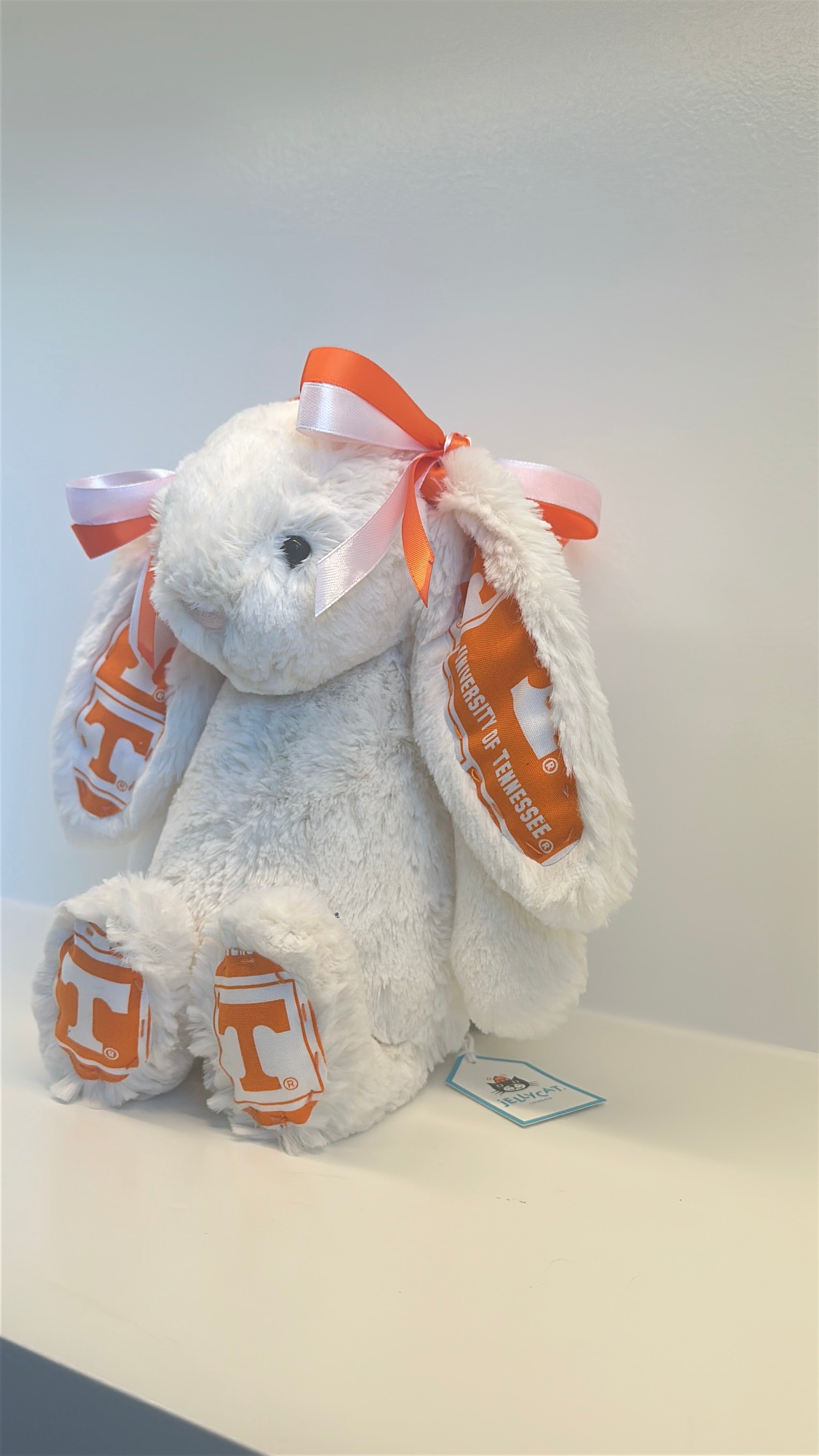 University of Tennessee Custom College Jellycat Bashful Bunny