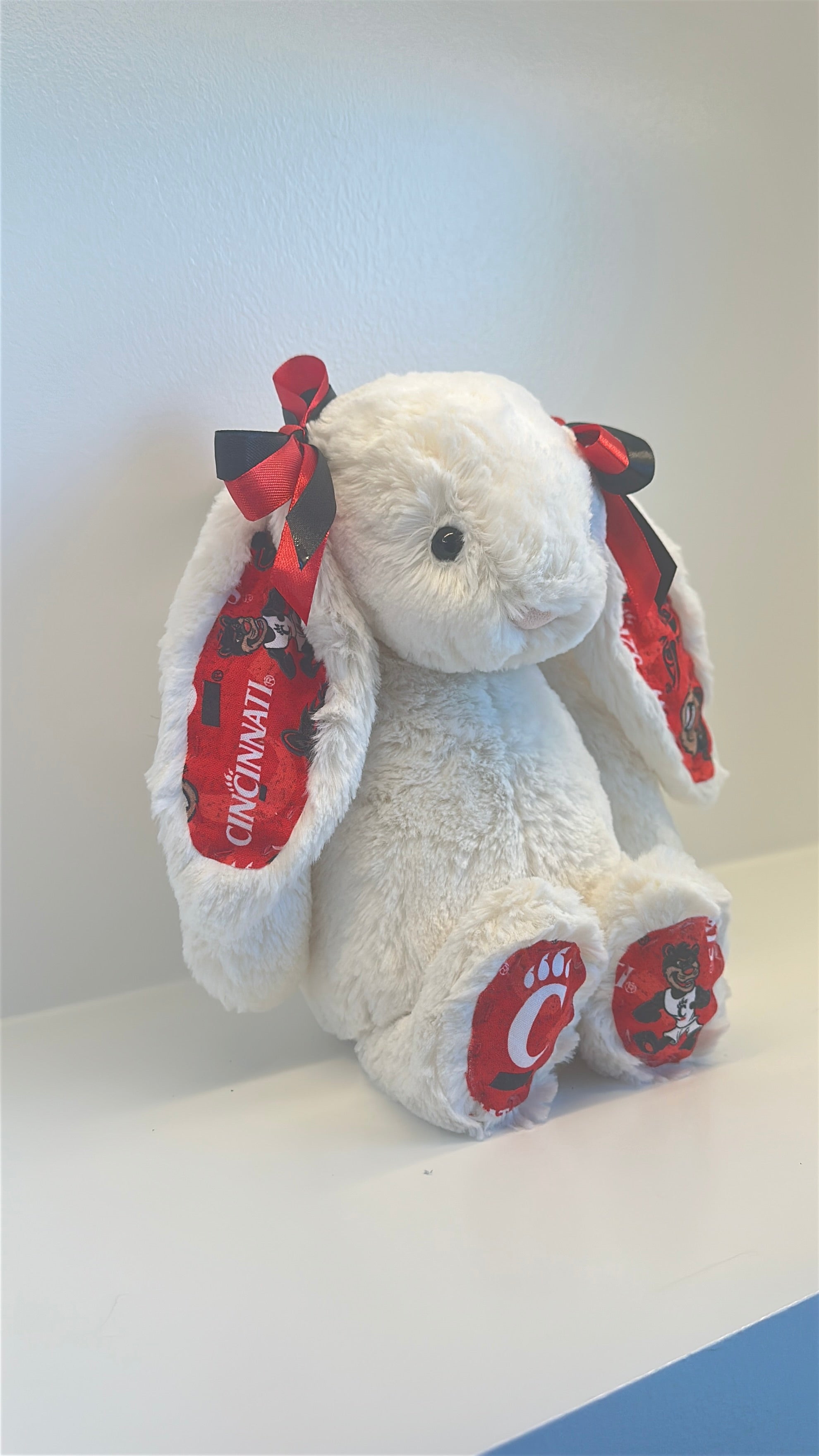 University of Cincinnati Custom College Jellycat Bashful Bunny