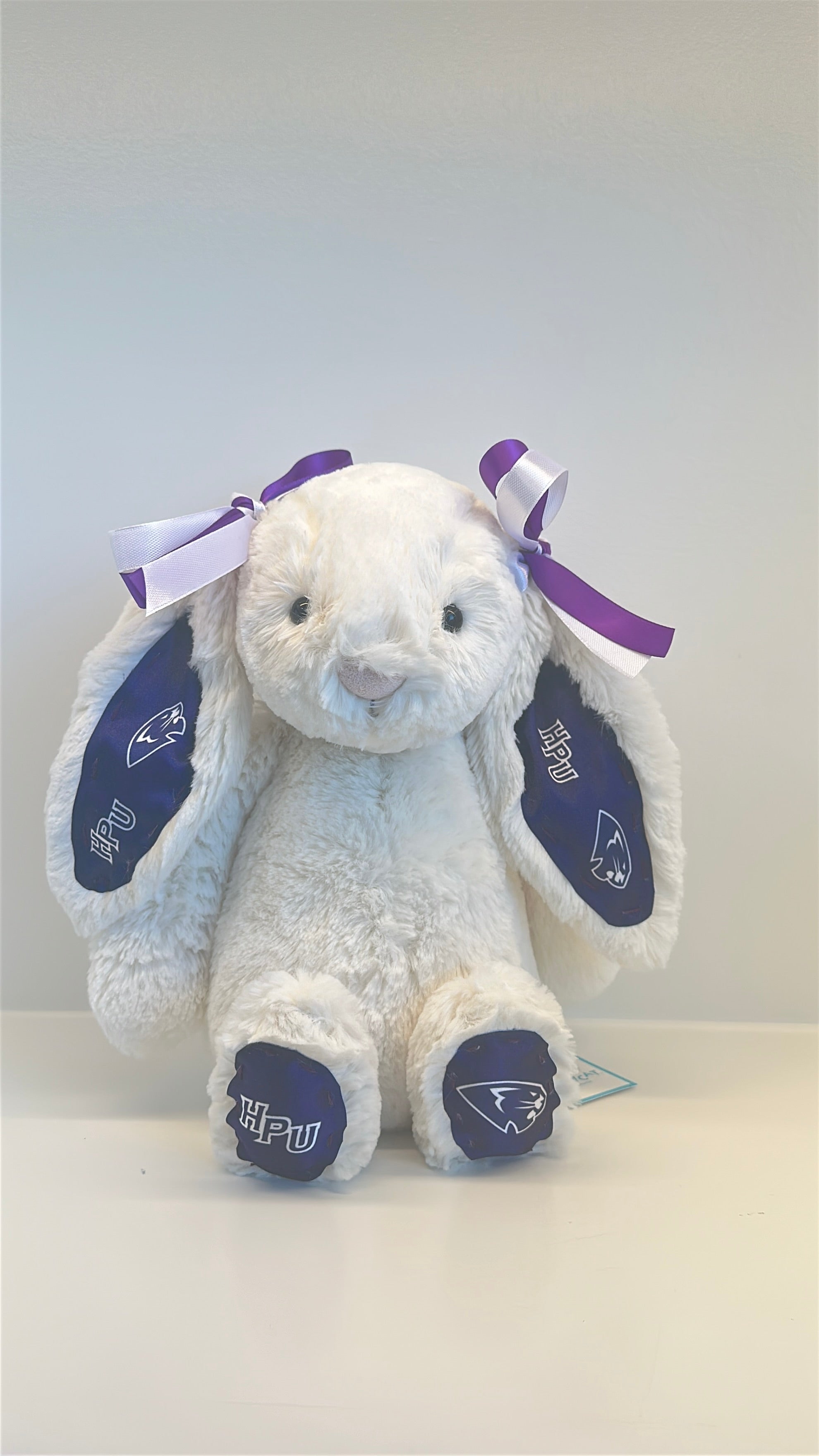High Point University Custom College Jellycat Bashful Bunny