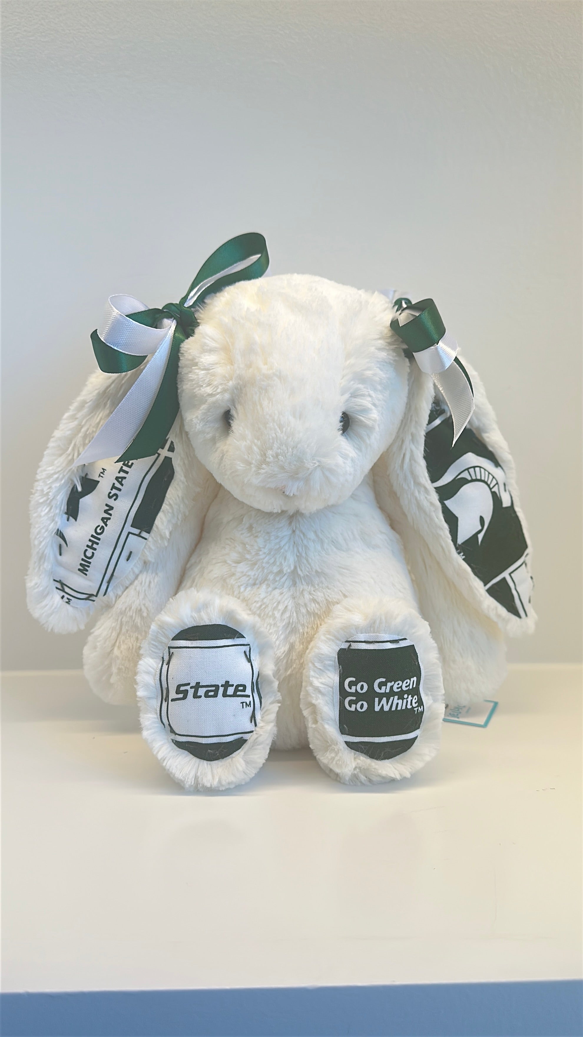 Michigan State University Custom College Jellycat Bashful Bunny