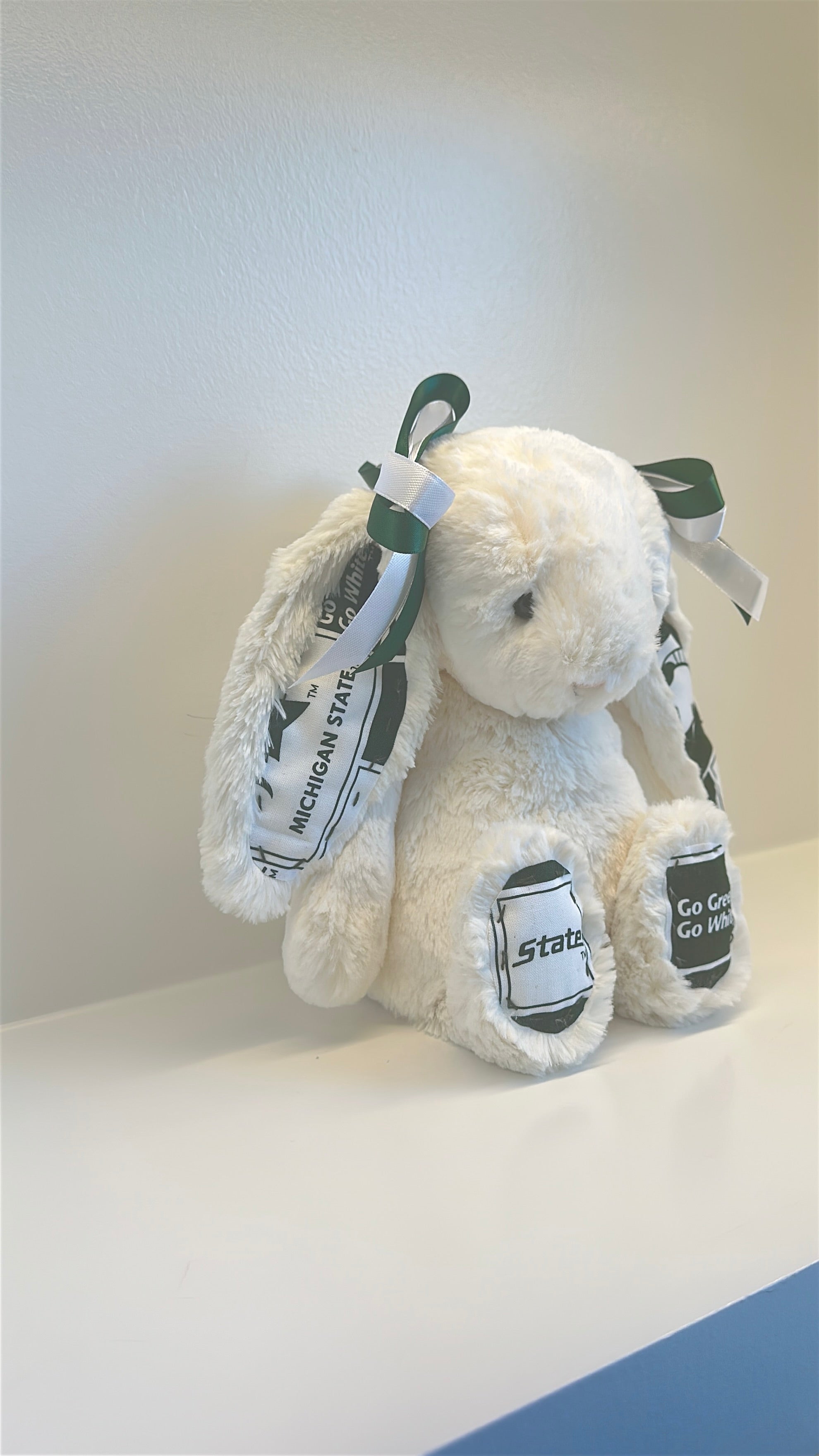 Michigan State University Custom College Jellycat Bashful Bunny