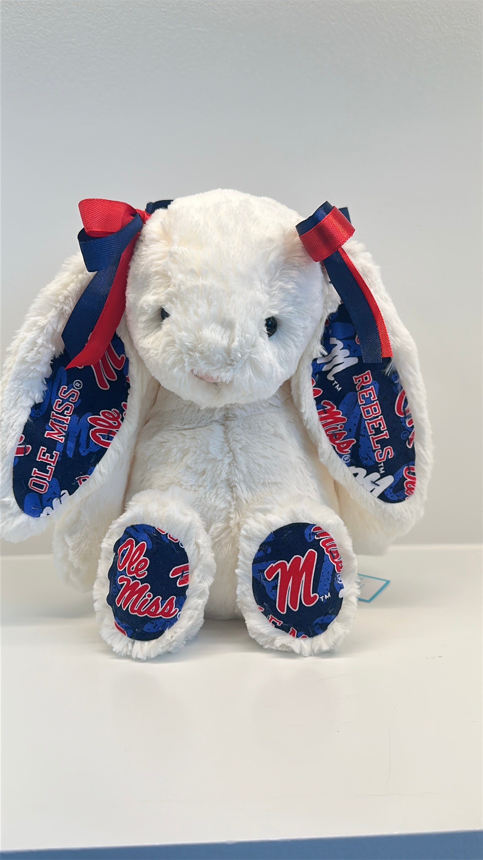University of Mississippi (Ole Miss) Custom College Jellycat Bashful Bunny