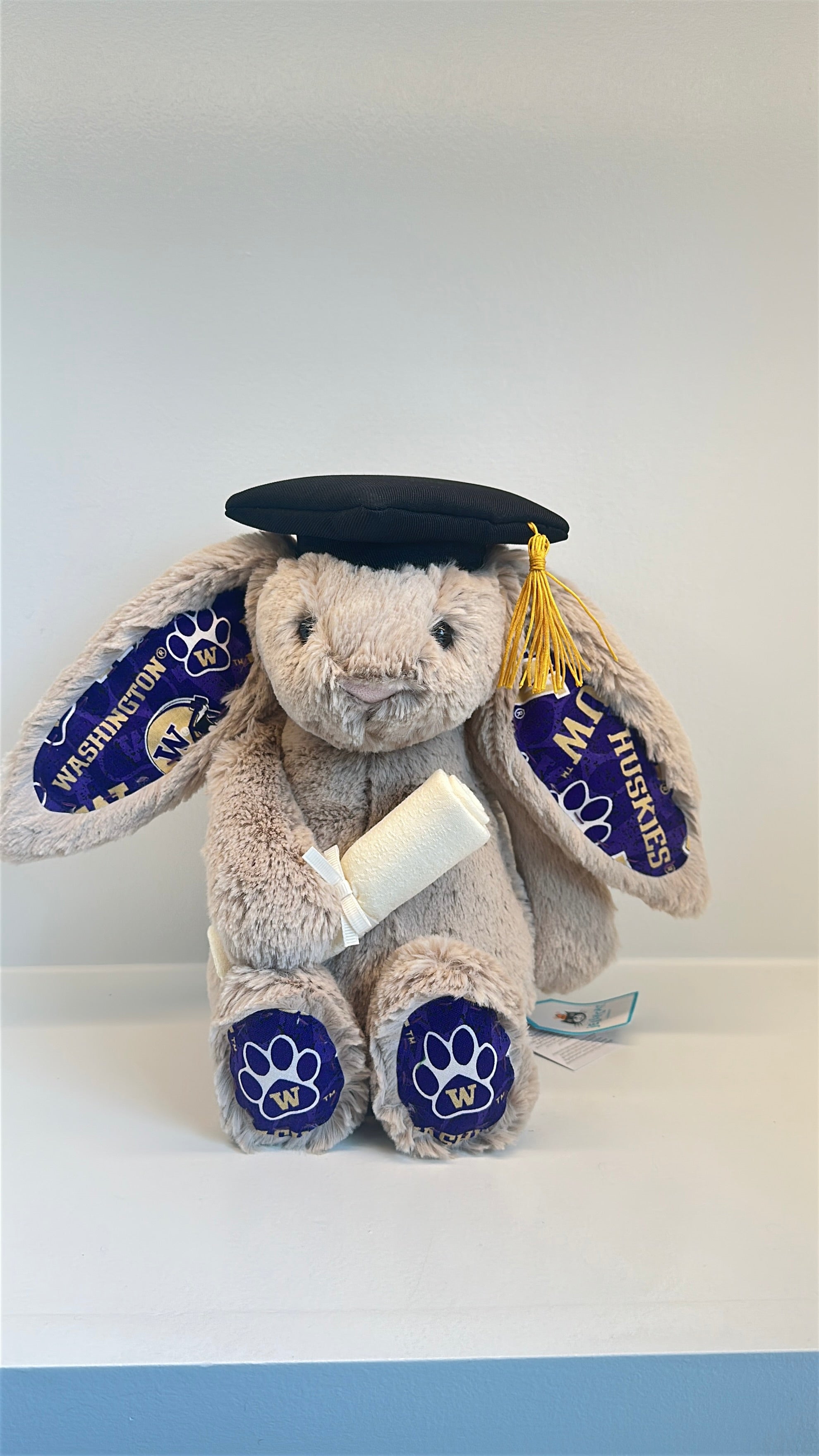 University of Washington College Jellycat Bunny