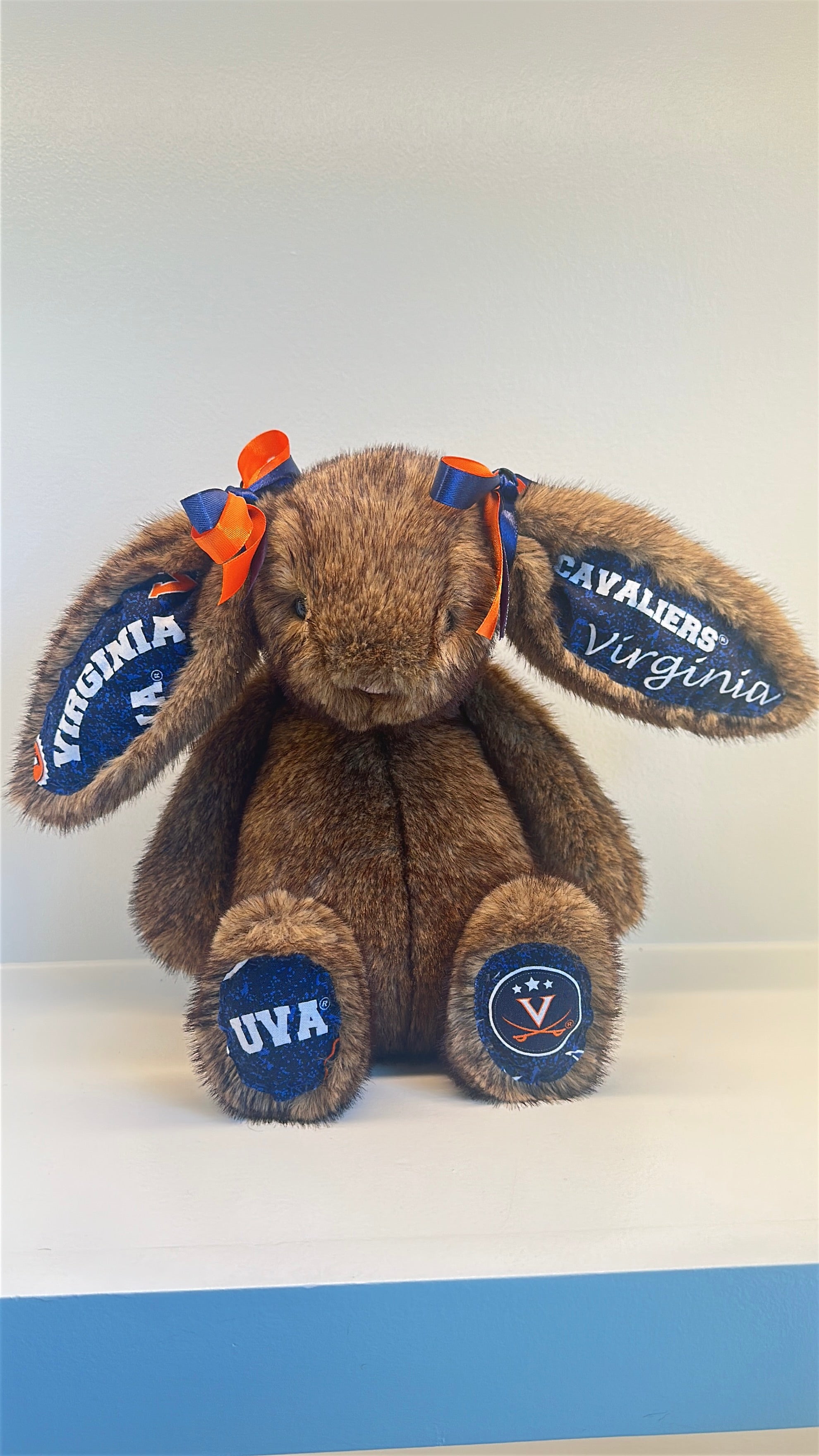 University of Virginia Licensed College Jellycat Bunny