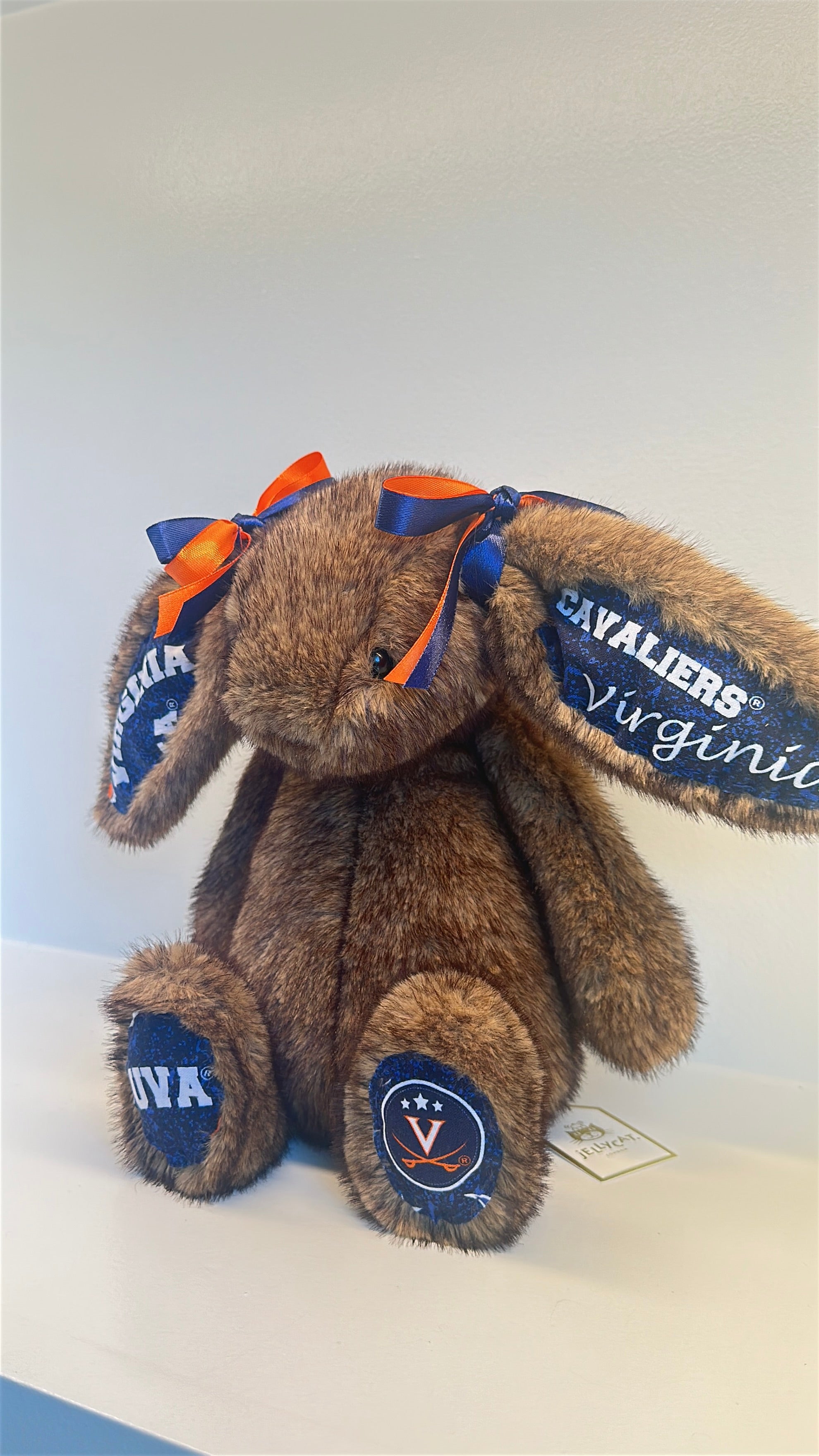 University of Virginia Licensed College Jellycat Bunny