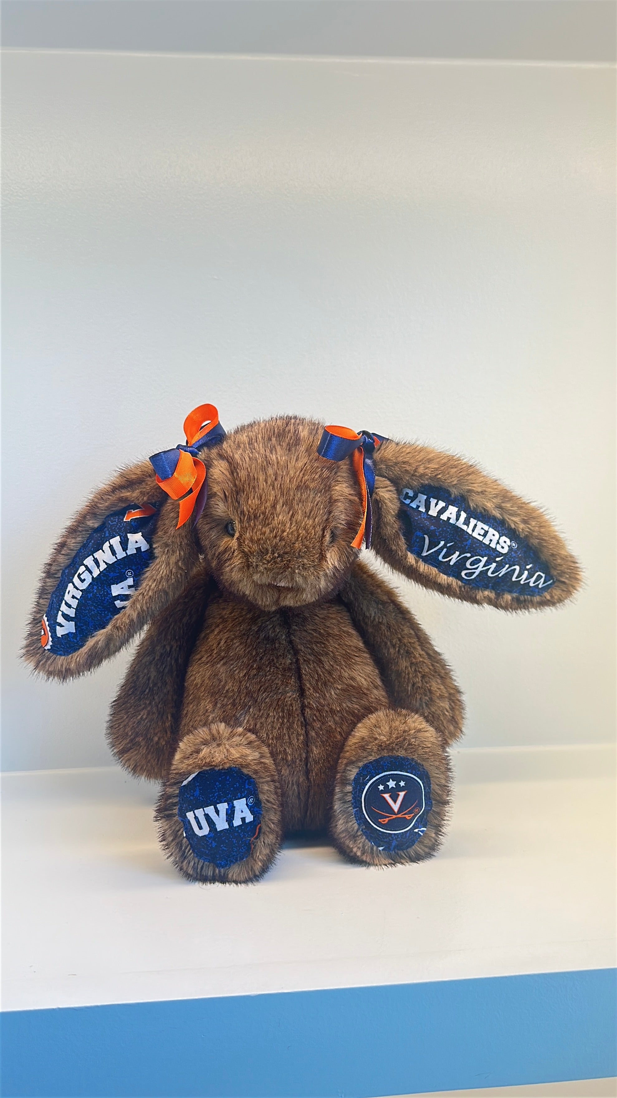 University of Virginia Licensed College Jellycat Bunny