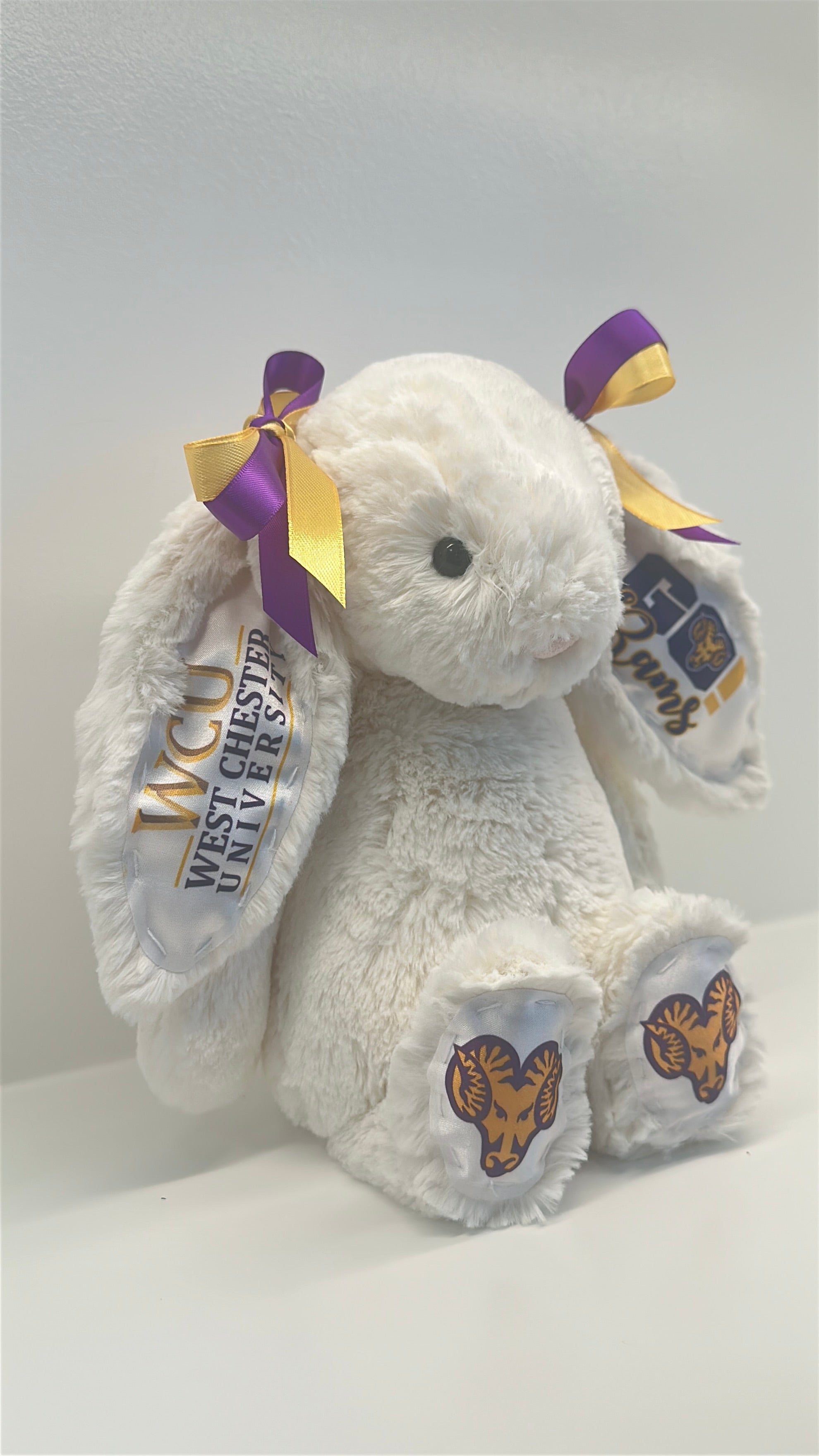 West Chester Custom College Jellycat Bashful Bunny