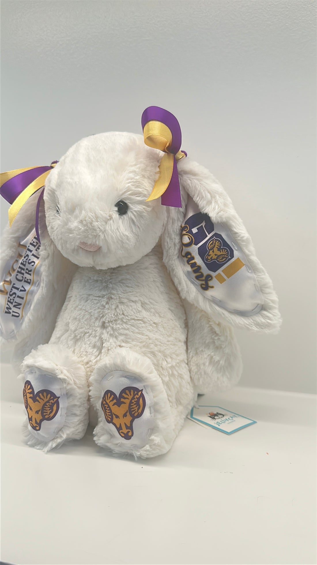 West Chester Custom College Jellycat Bashful Bunny