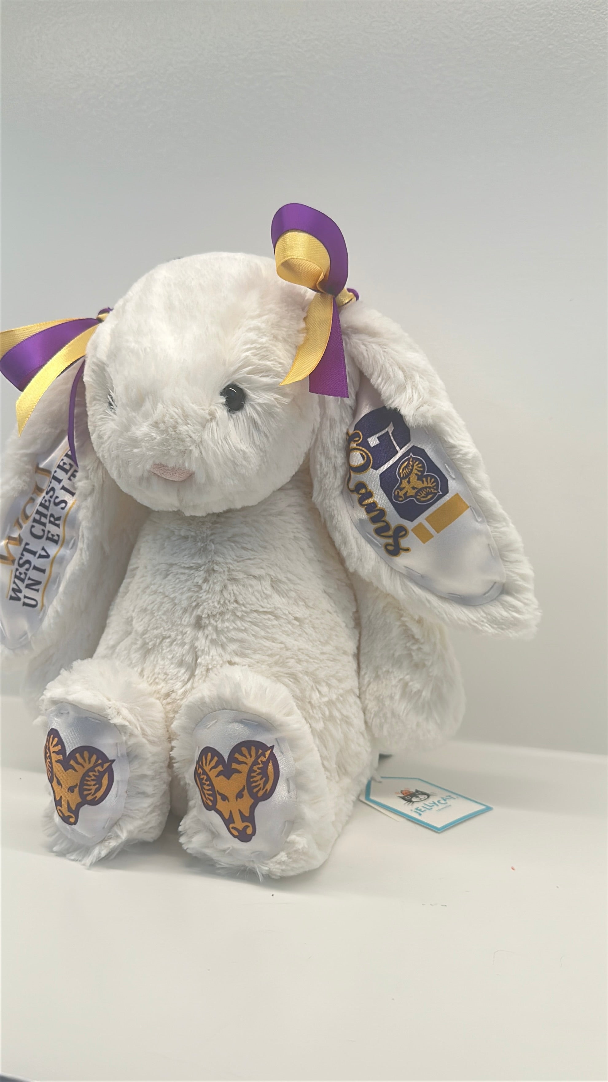 West Chester Custom College Jellycat Bashful Bunny