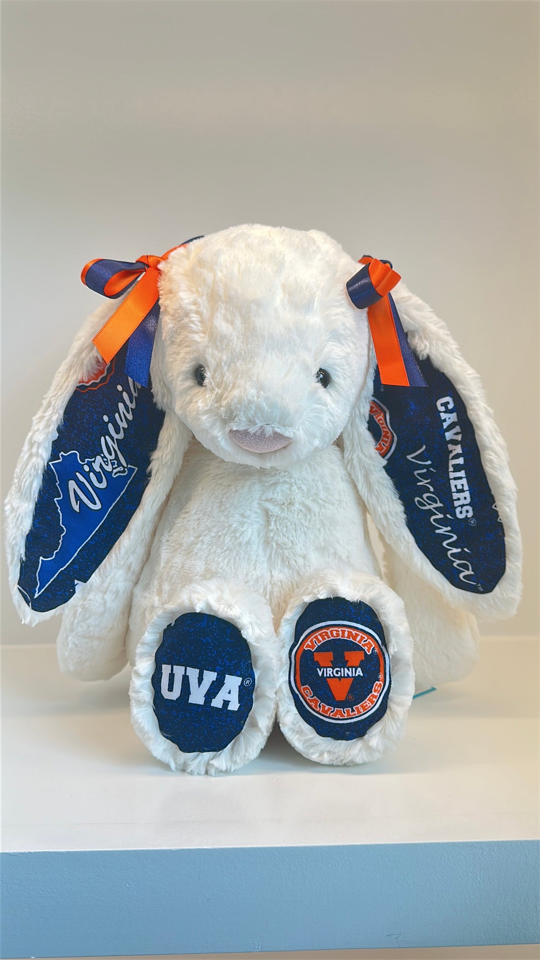 University of Virginia Licensed College Jellycat Bunny