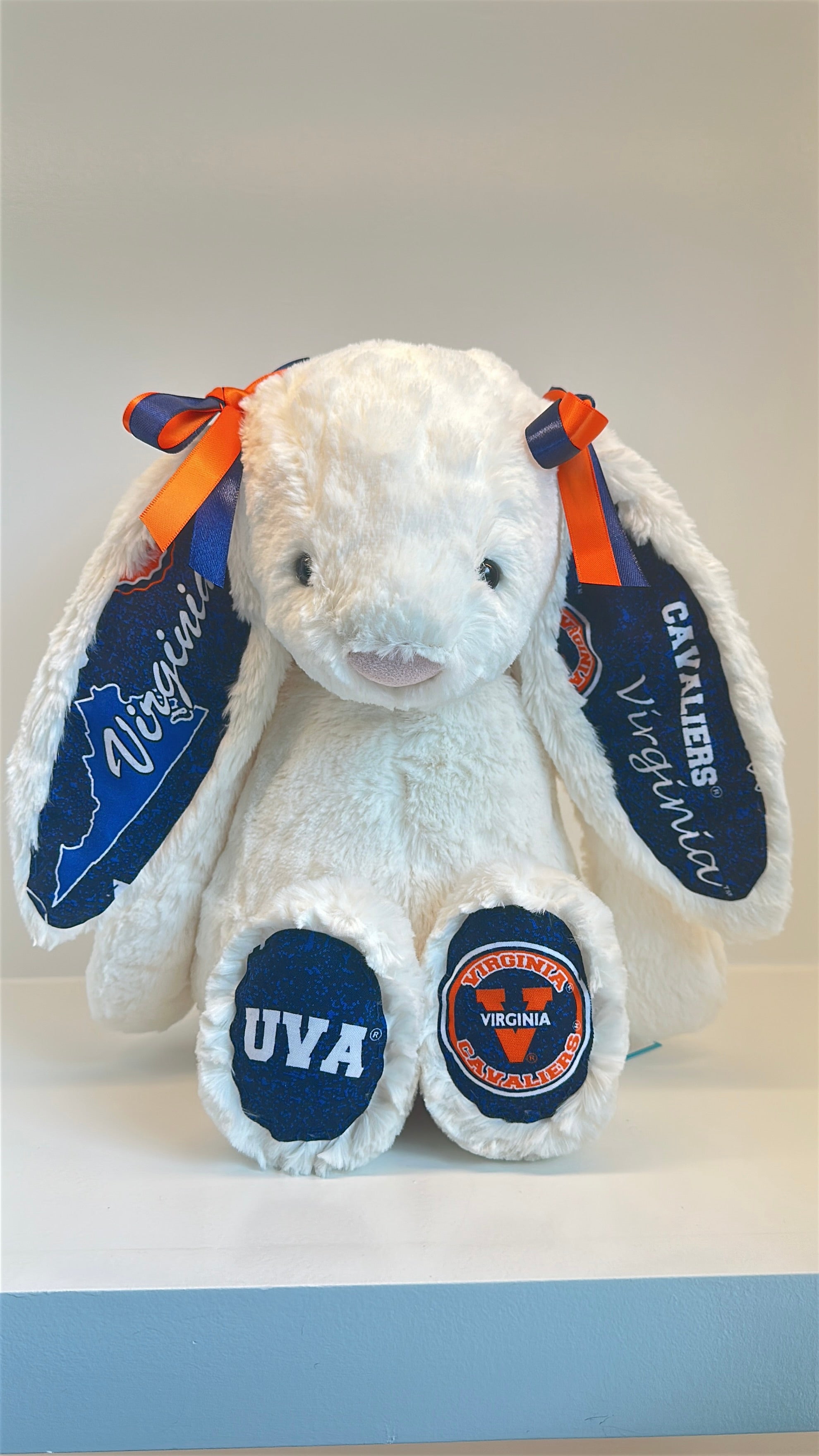 University of Virginia Licensed College Jellycat Bunny