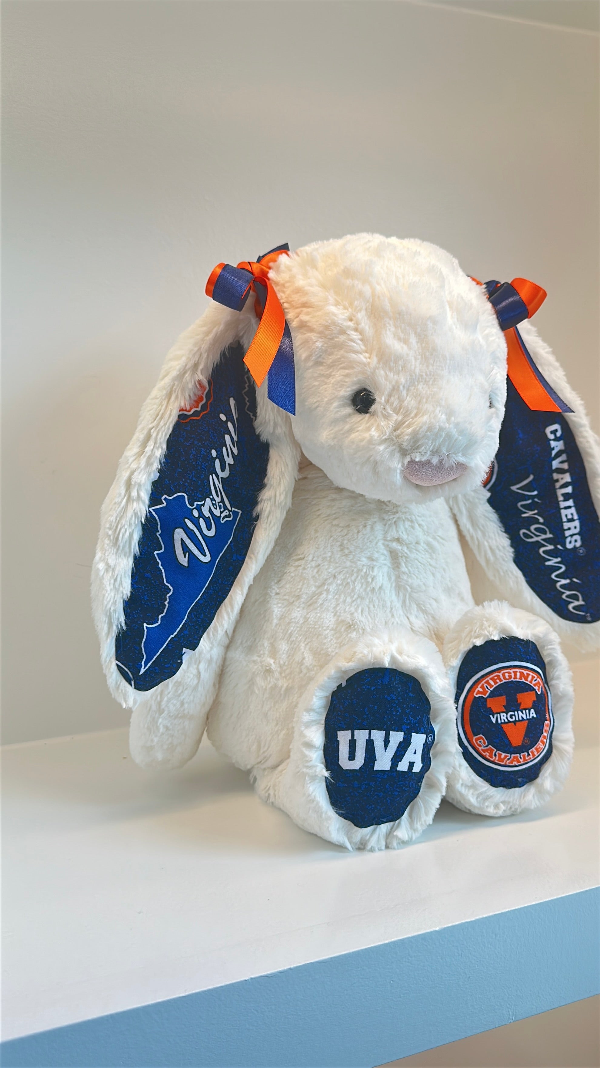 University of Virginia Licensed College Jellycat Bunny