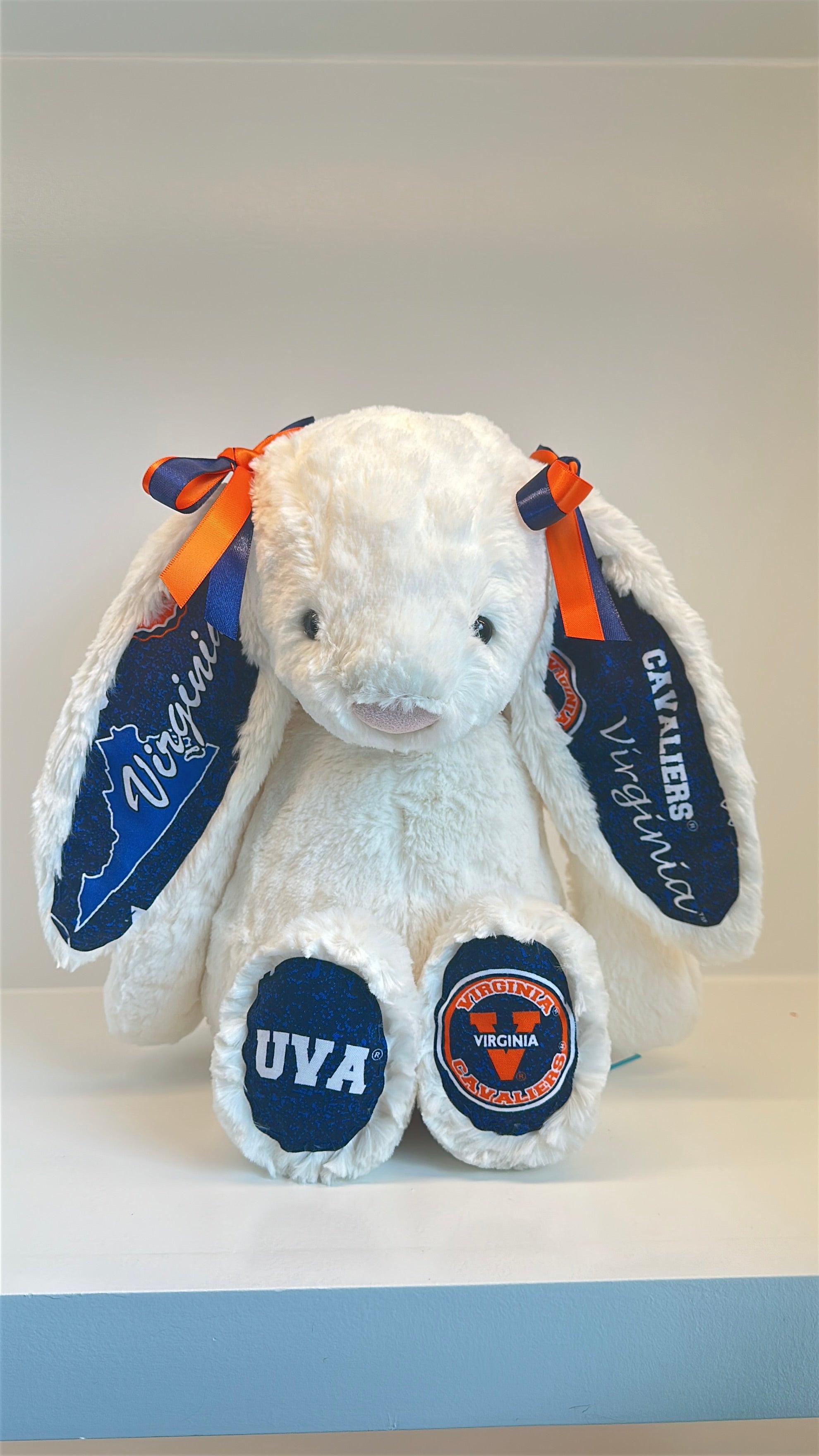 University of Virginia Licensed College Jellycat Bunny