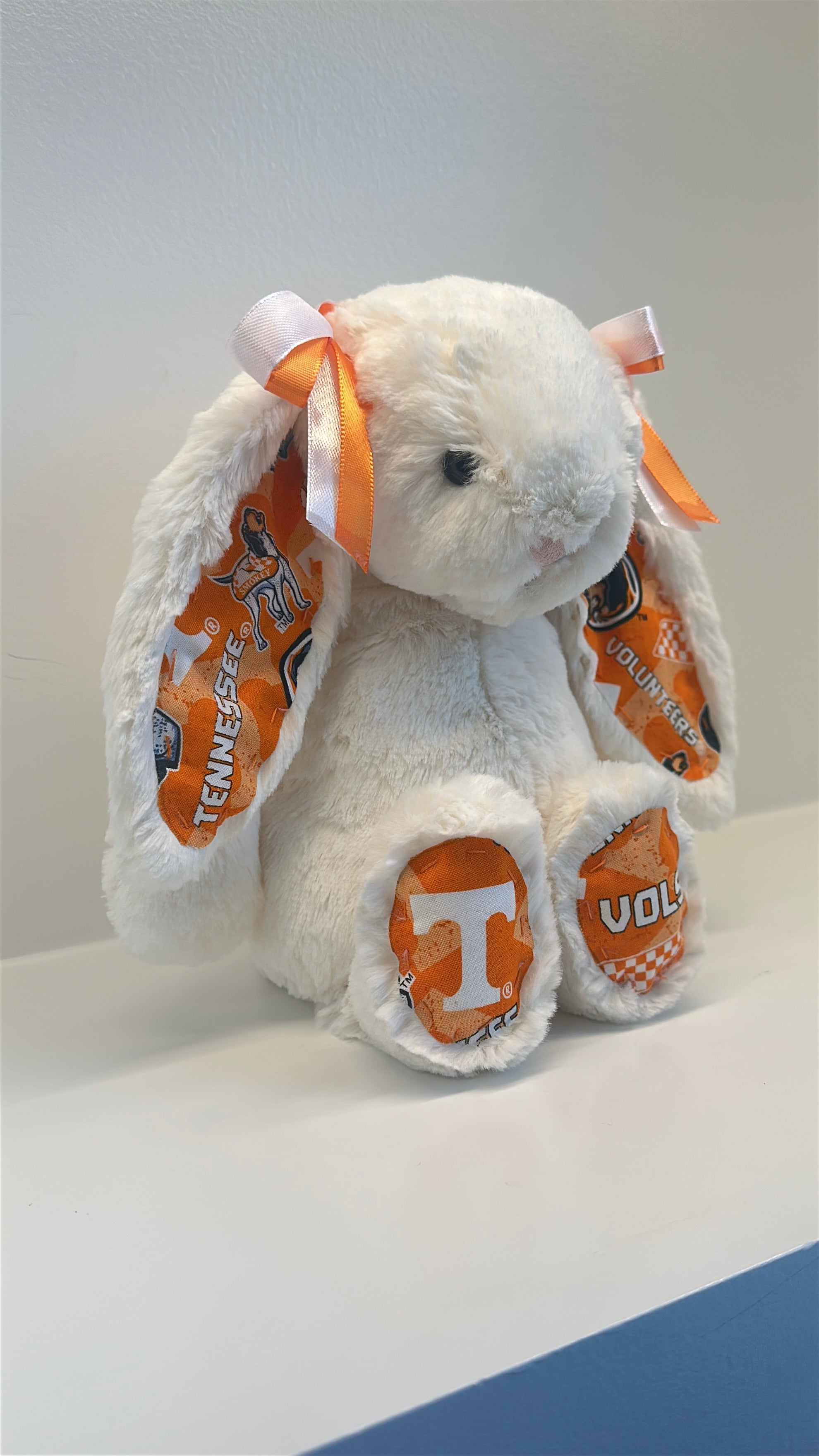 University of Tennessee Custom College Jellycat Bashful Bunny