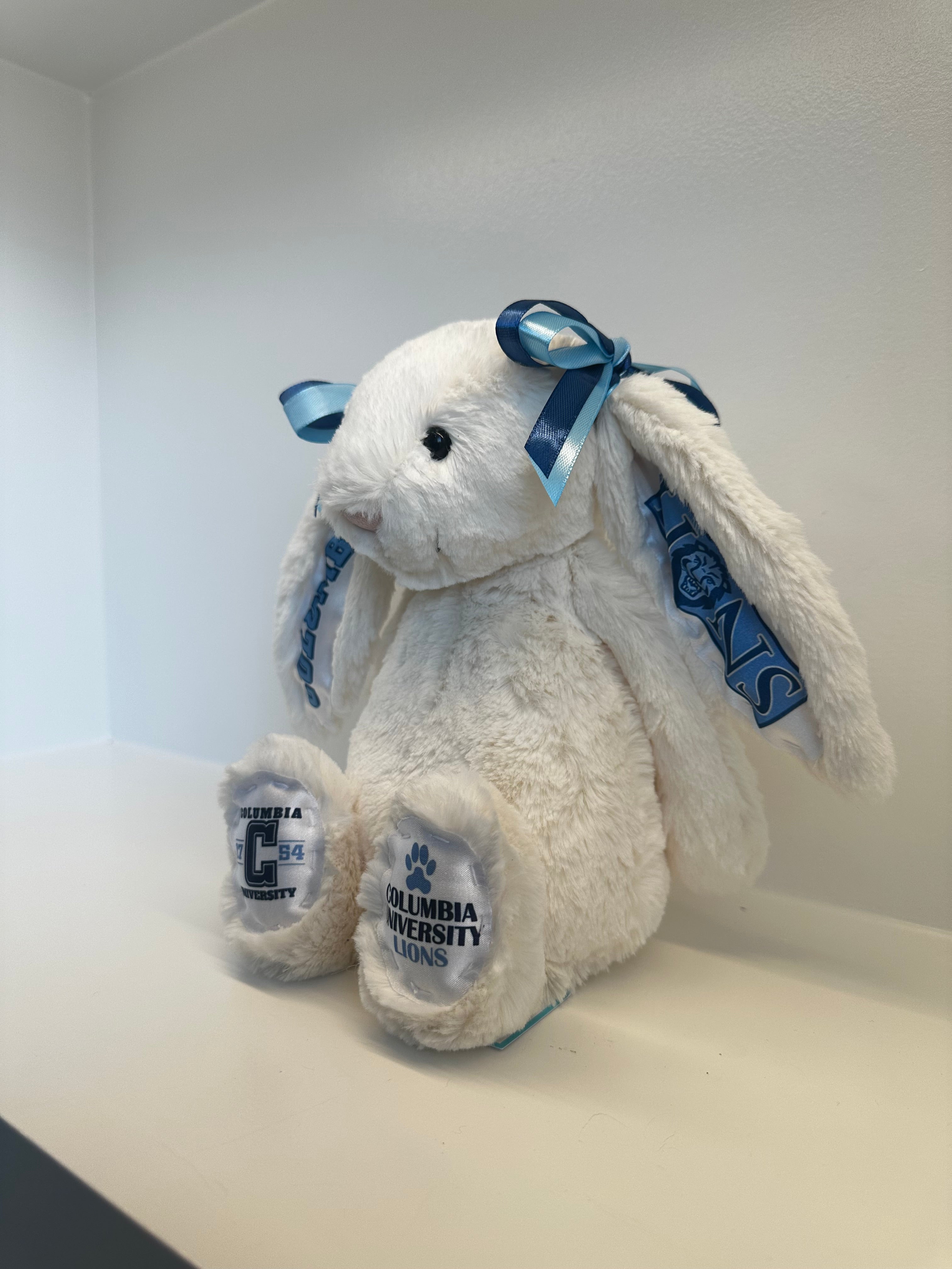 Columbia University  Custom College Jellycat Bashful Bunny