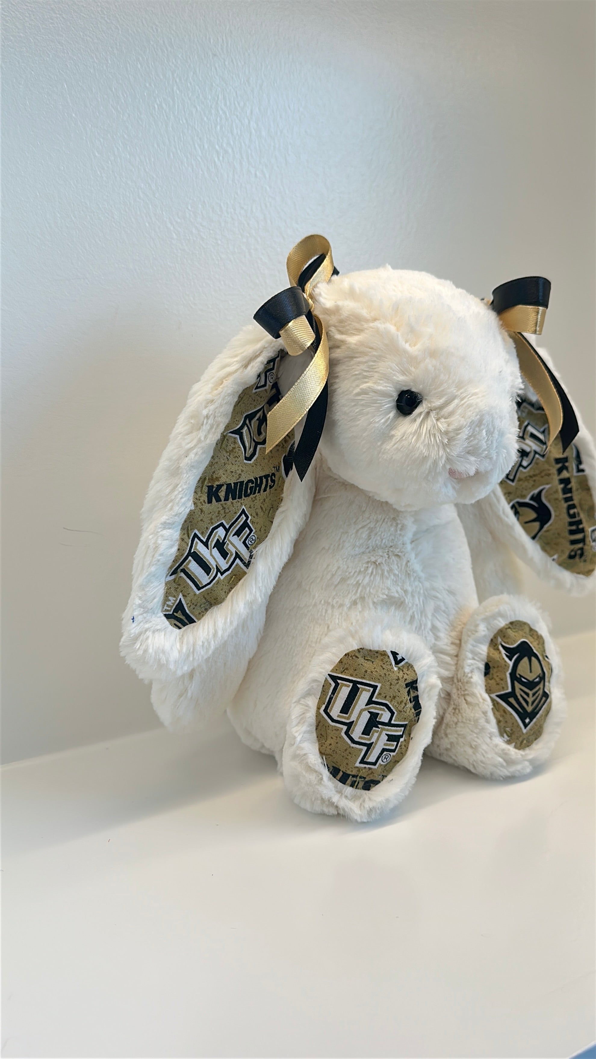 University of Central Florida Custom College Jellycat Bashful Bunny