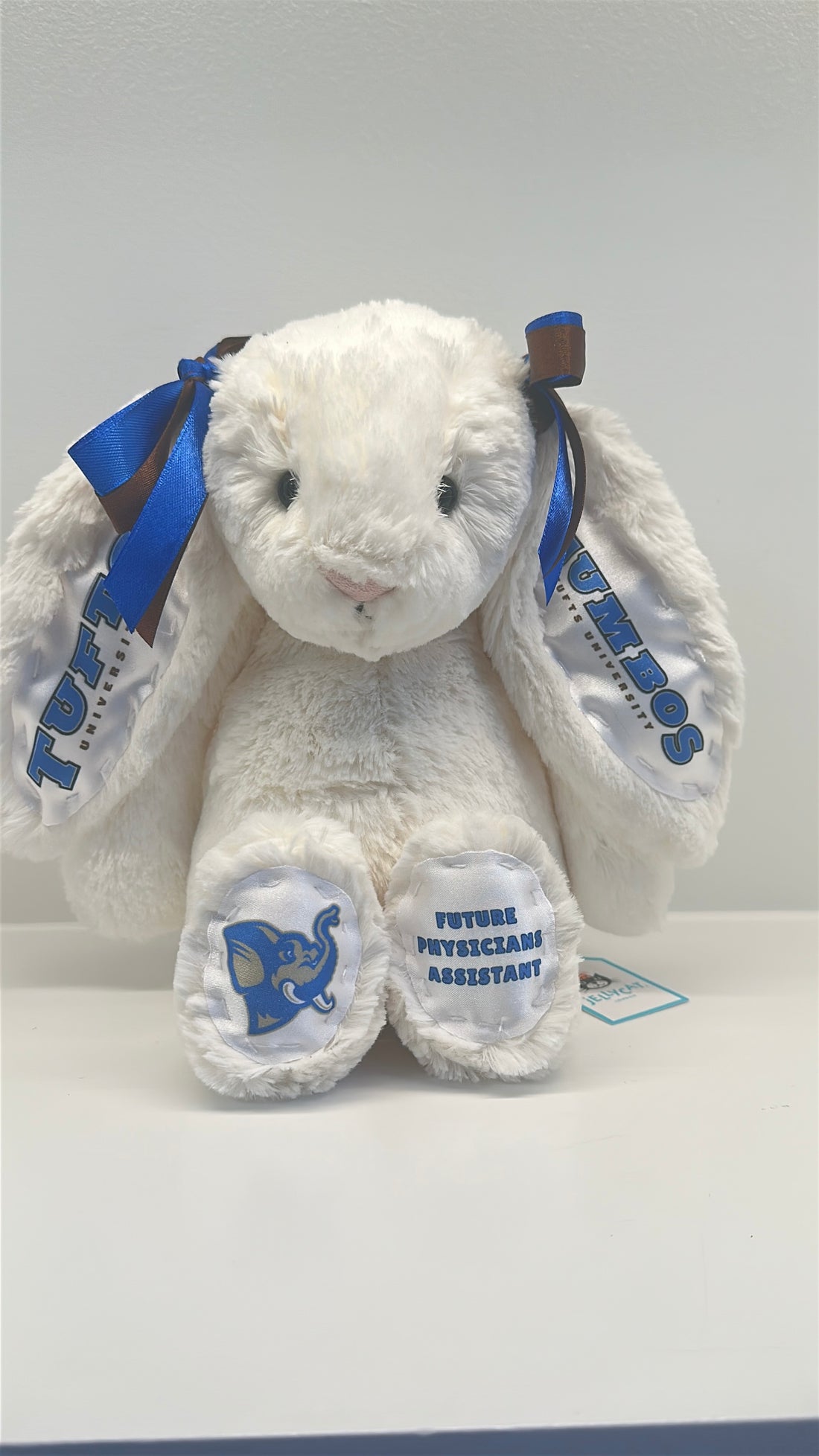 Tufts University Custom College Jellycat Bashful Bunny