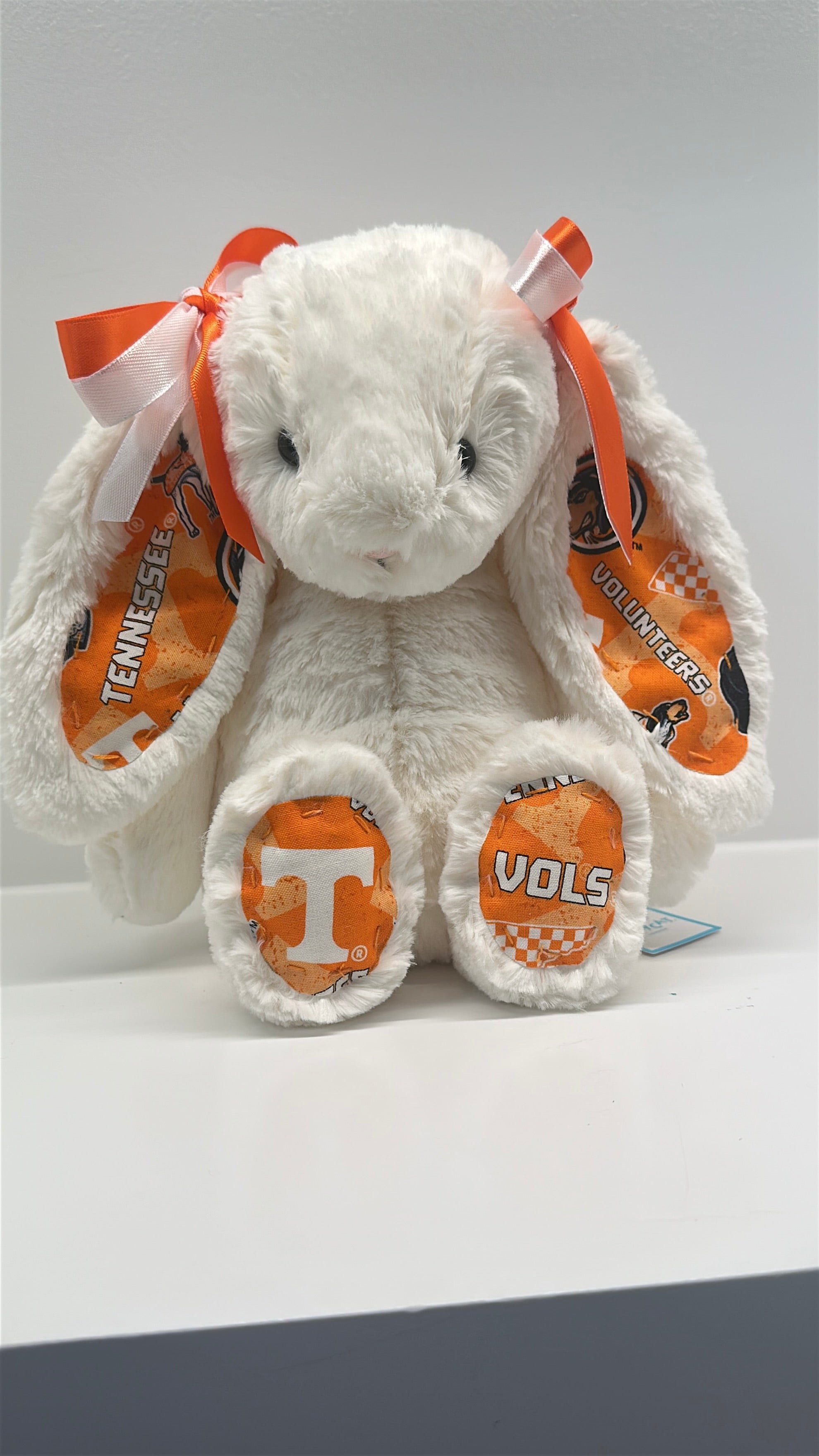 University of Tennessee Custom College Jellycat Bashful Bunny